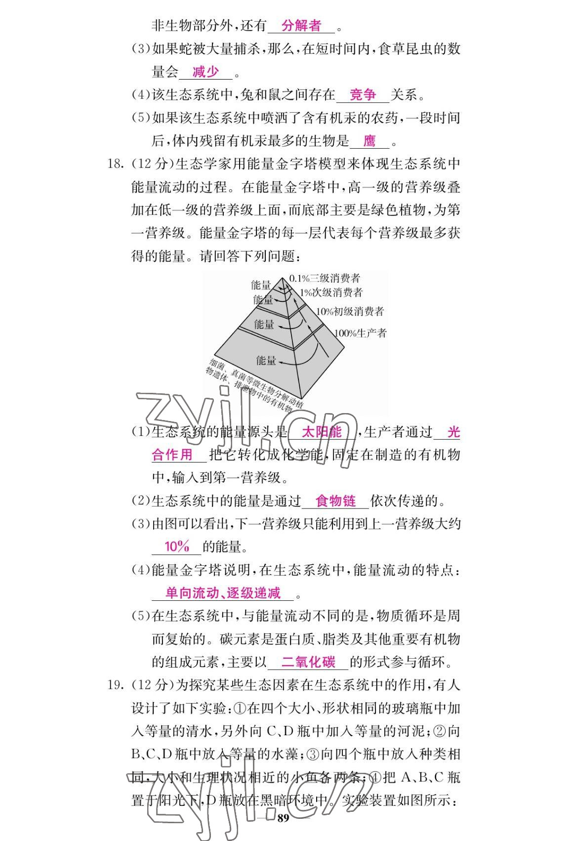 2022年課堂點睛七年級生物上冊人教版 參考答案第5頁