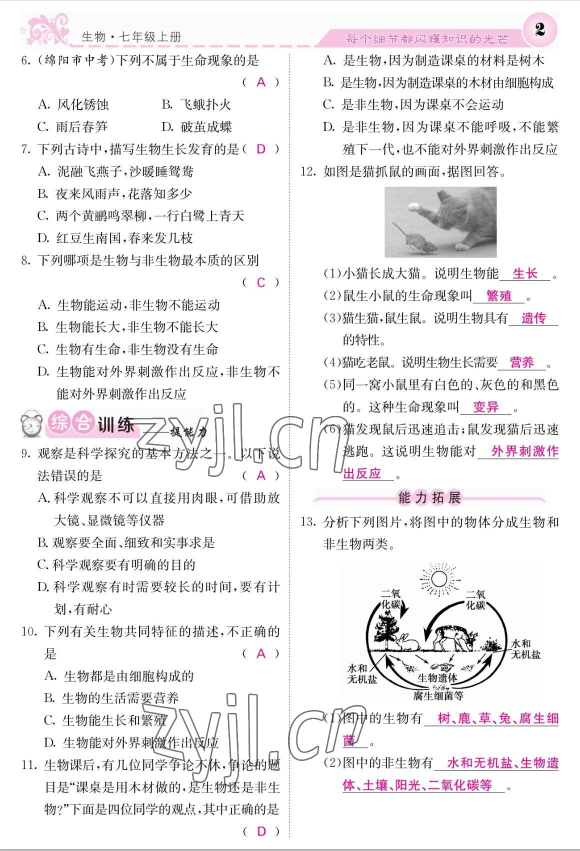 2022年课堂点睛七年级生物上册人教版 参考答案第2页