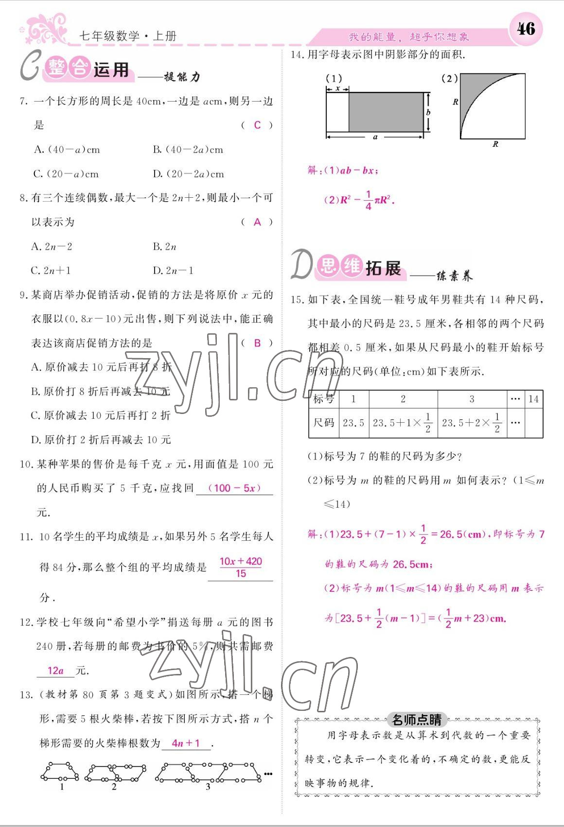 2022年課堂點睛七年級數(shù)學上冊北師大版 參考答案第46頁