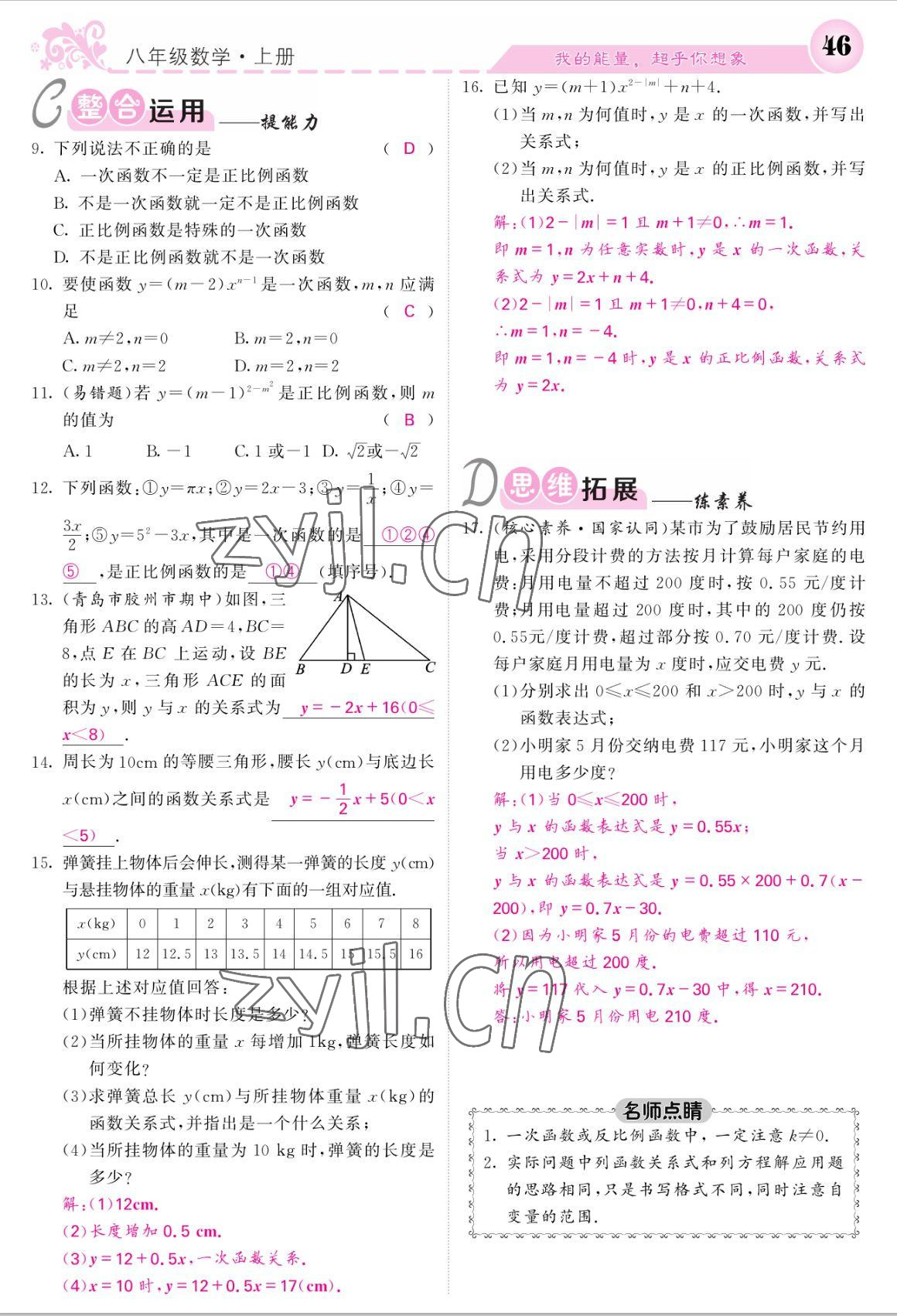 2022年课堂点睛八年级数学上册北师大版 参考答案第46页