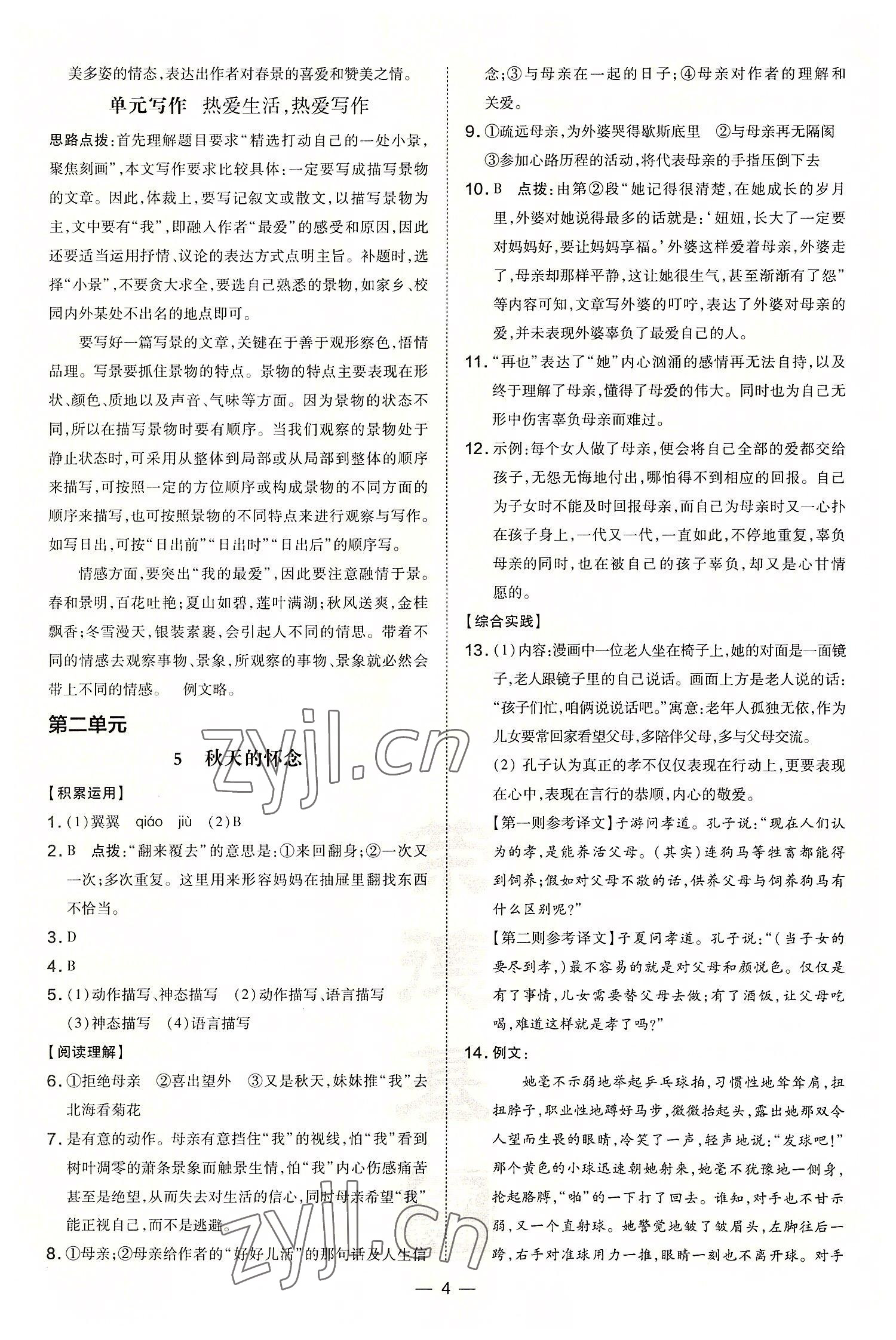 2022年點(diǎn)撥訓(xùn)練七年級語文上冊人教版 第4頁