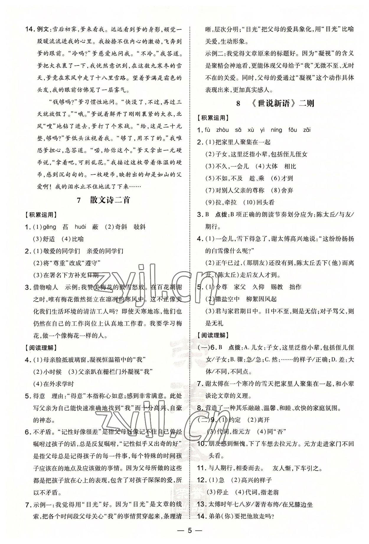 2022年點(diǎn)撥訓(xùn)練七年級語文上冊人教版安徽專版 參考答案第5頁