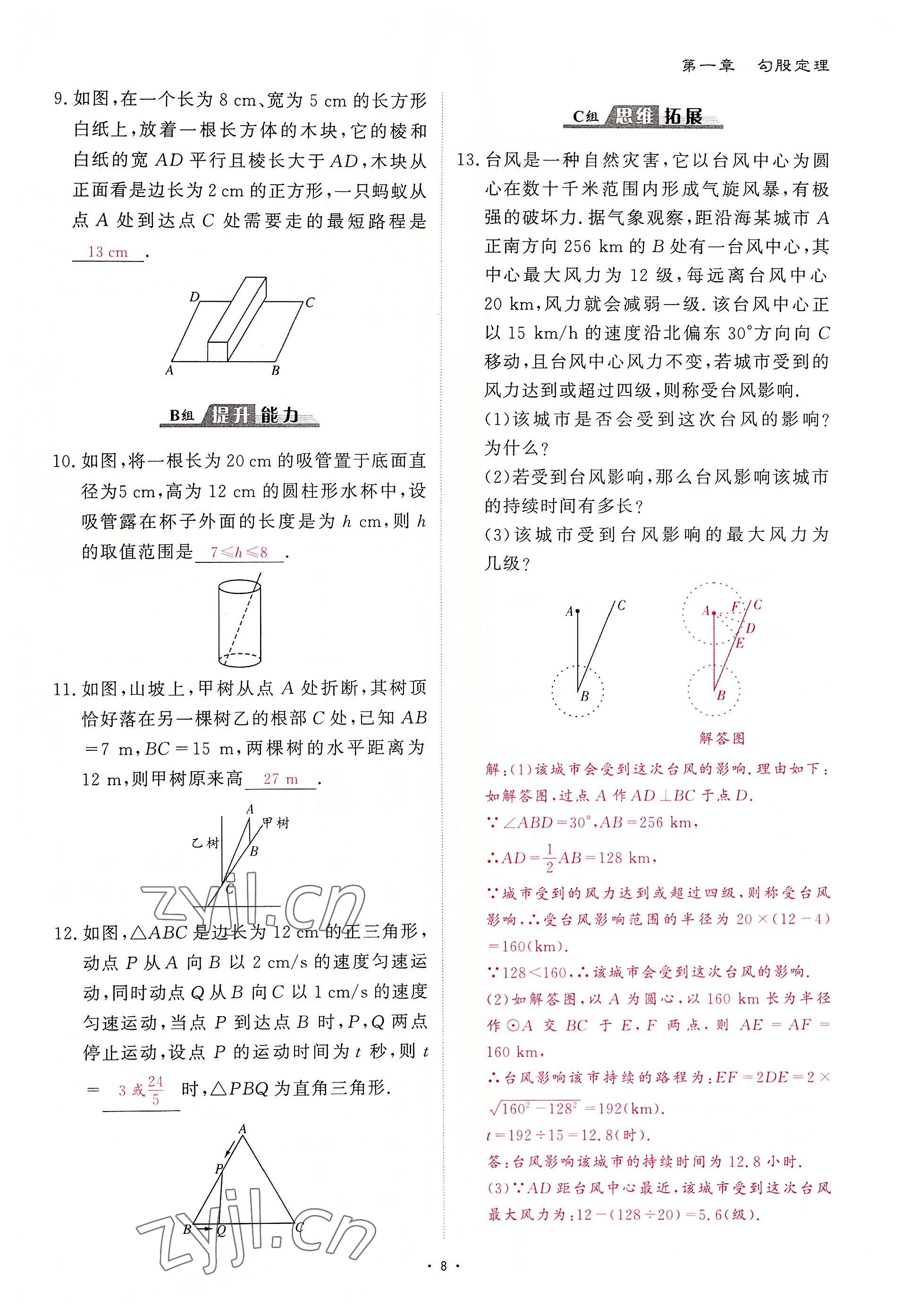 2022年优课堂给力A加八年级数学上册北师大版 第8页