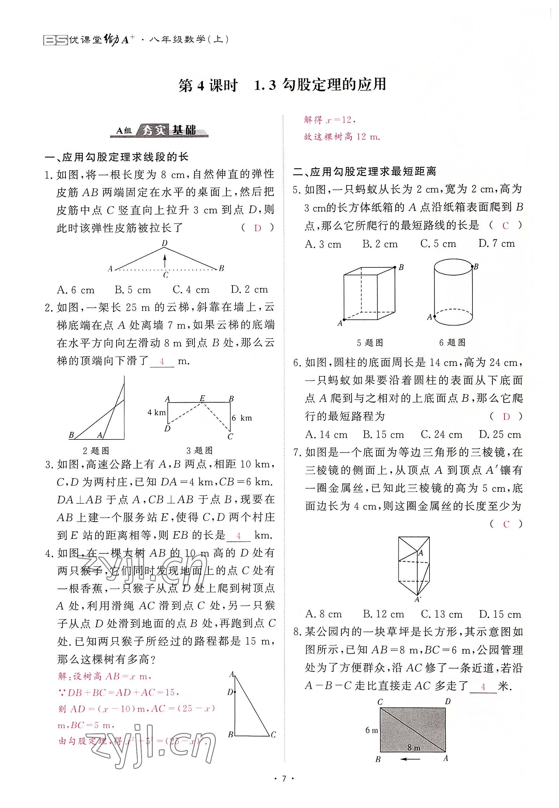 2022年优课堂给力A加八年级数学上册北师大版 第7页