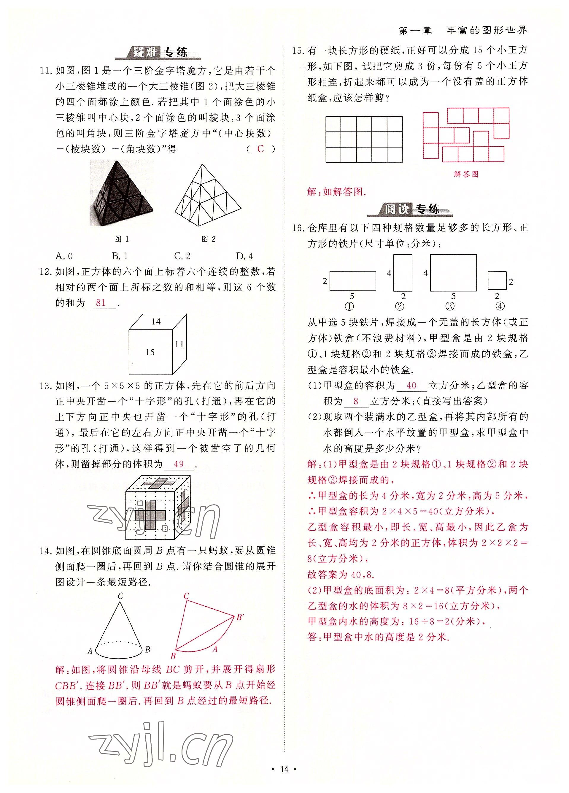 2022年优课堂给力A加七年级数学上册北师大版 参考答案第25页