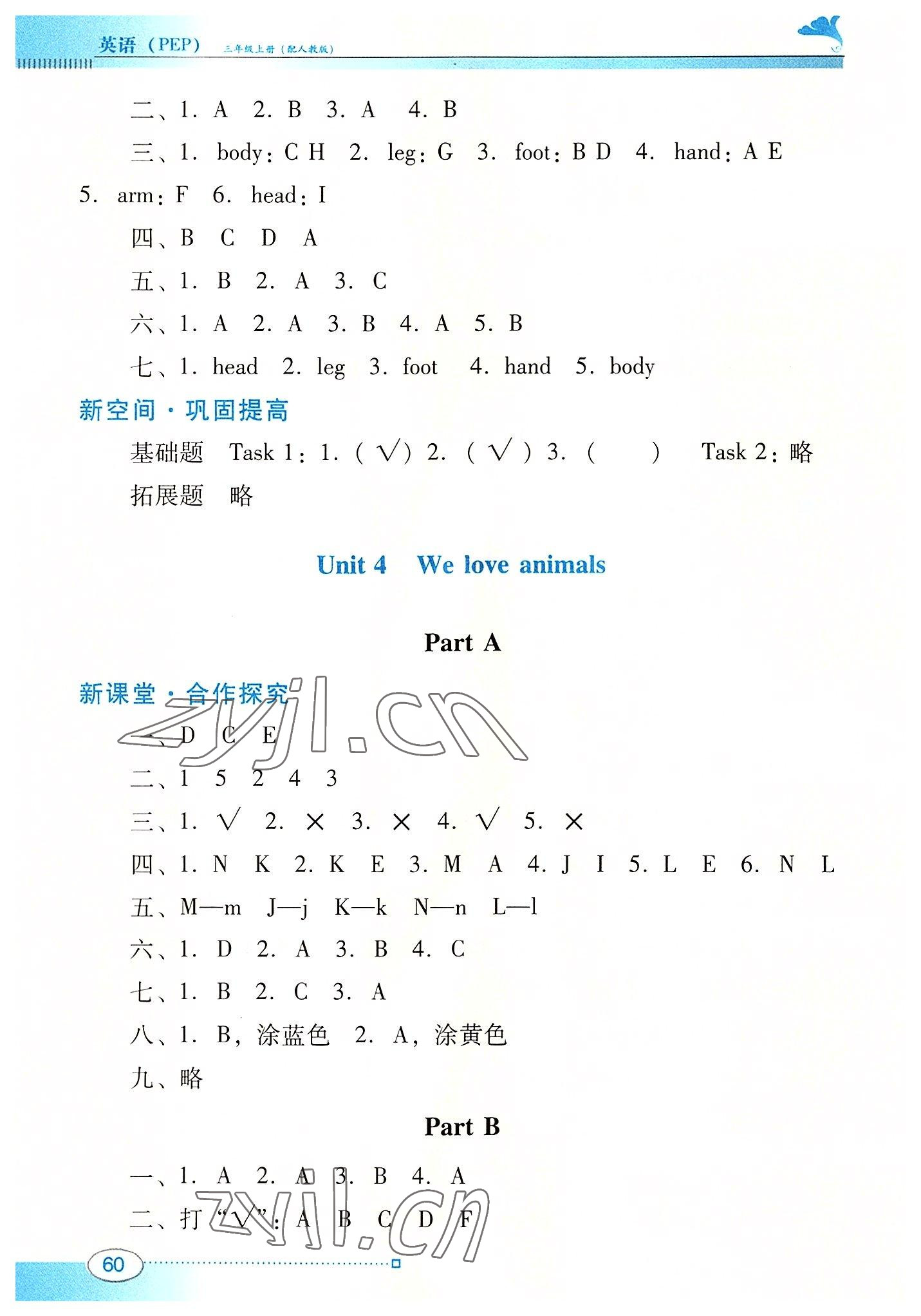 2022年南方新课堂金牌学案三年级英语上册人教版 第4页