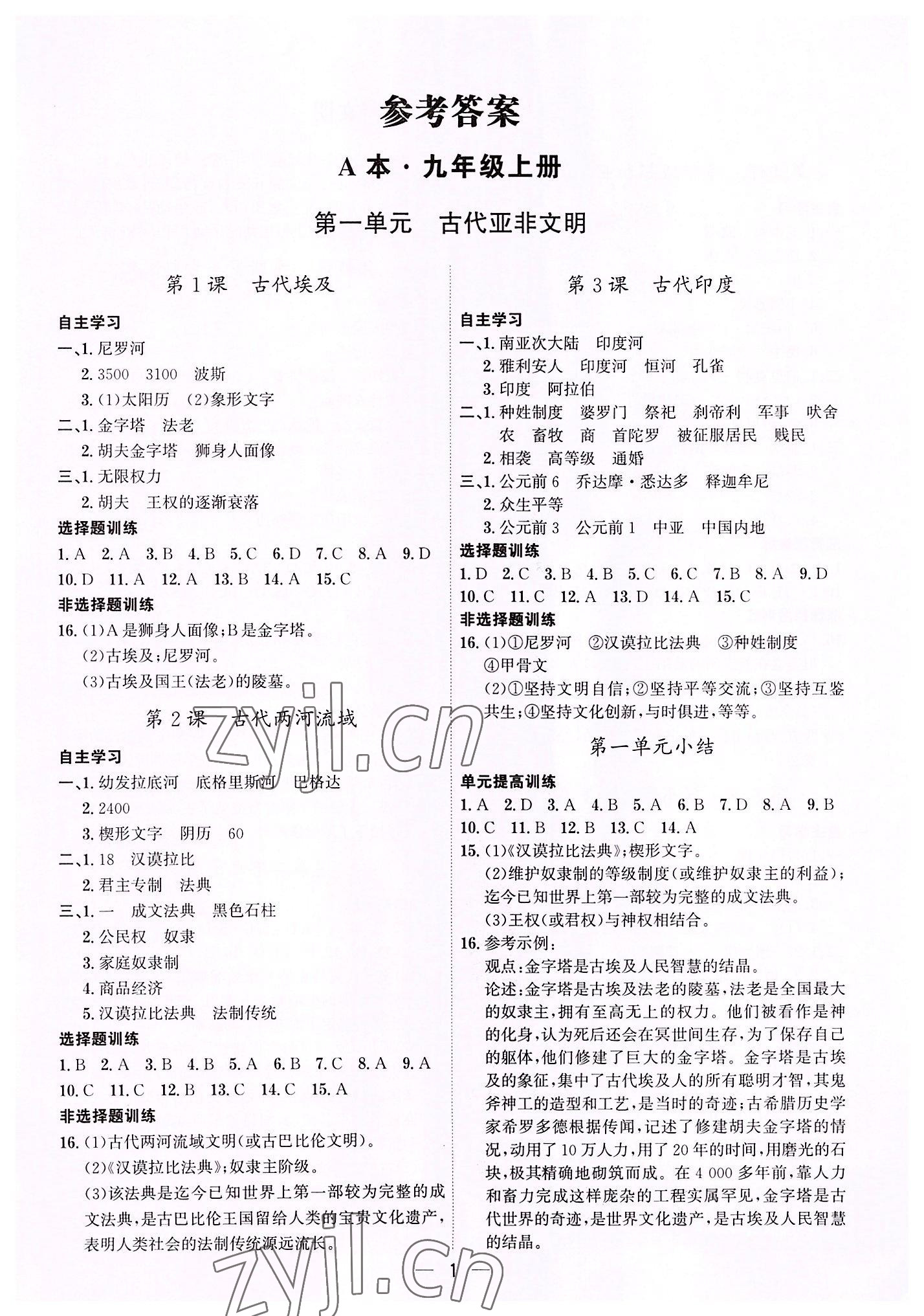 2022年考點專練九年級歷史全一冊人教版深圳專版 第1頁