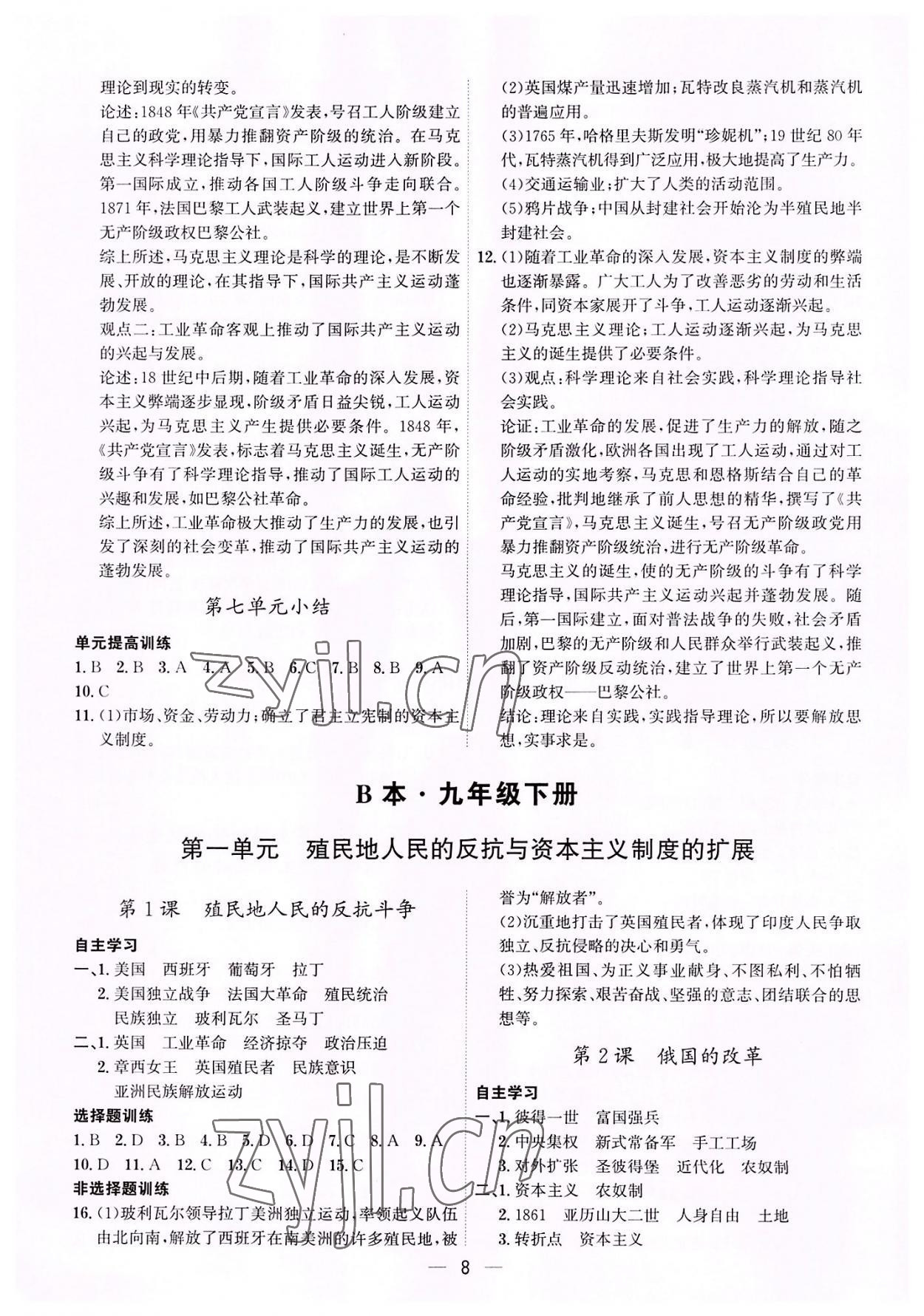 2022年考點專練九年級歷史全一冊人教版深圳專版 第8頁