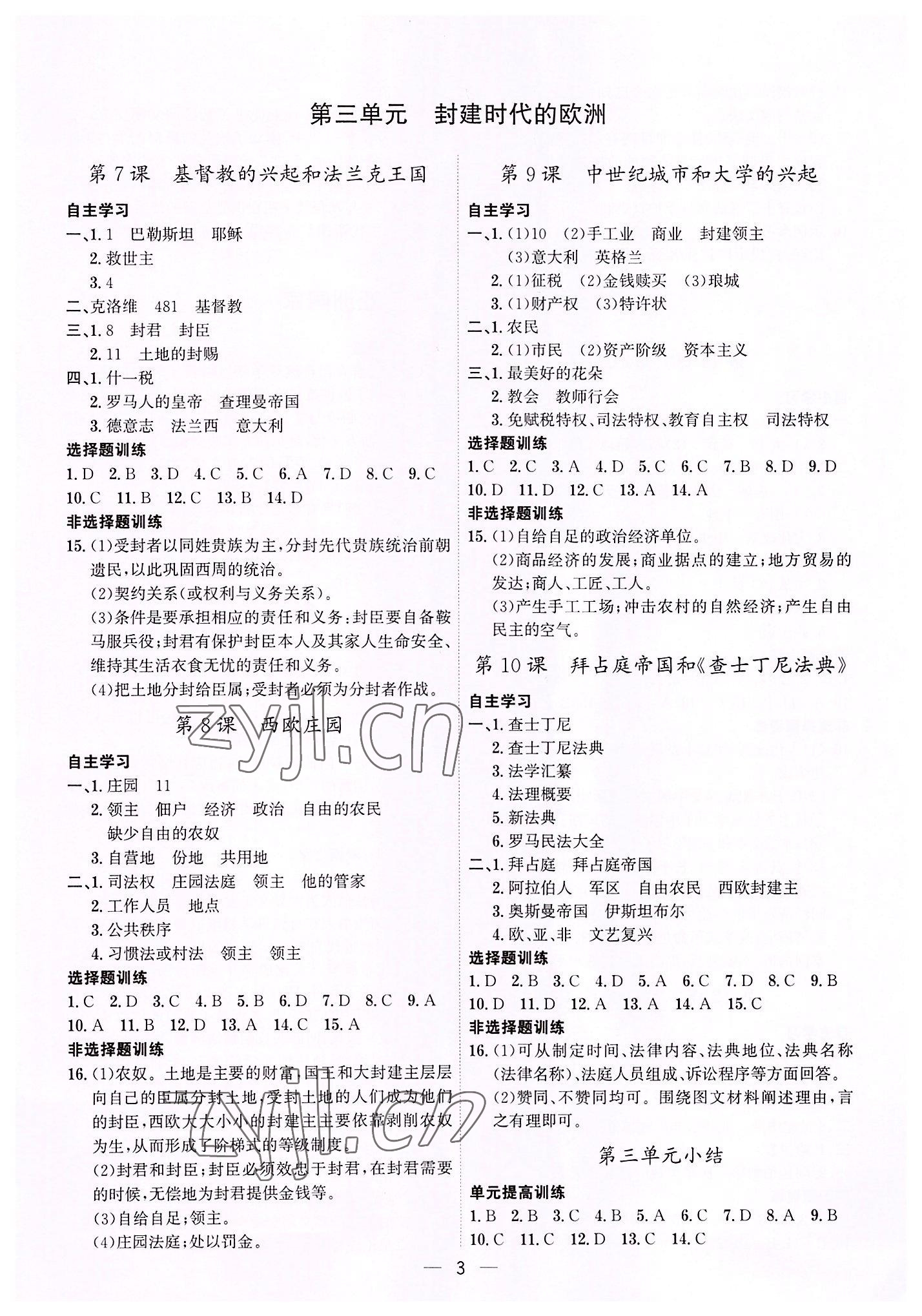 2022年考點專練九年級歷史全一冊人教版深圳專版 第3頁