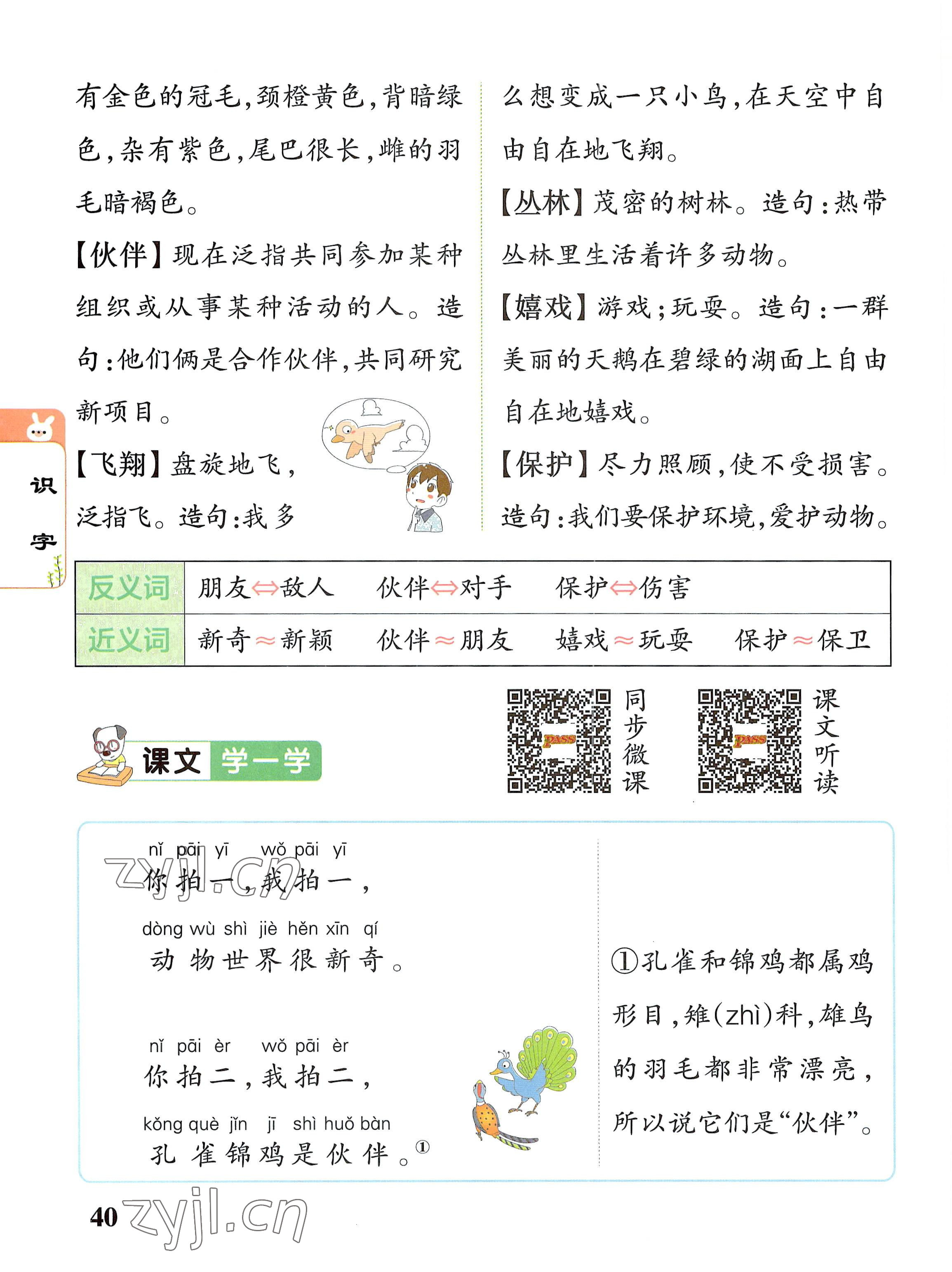 2022年教材课本二年级语文上册人教版 参考答案第40页