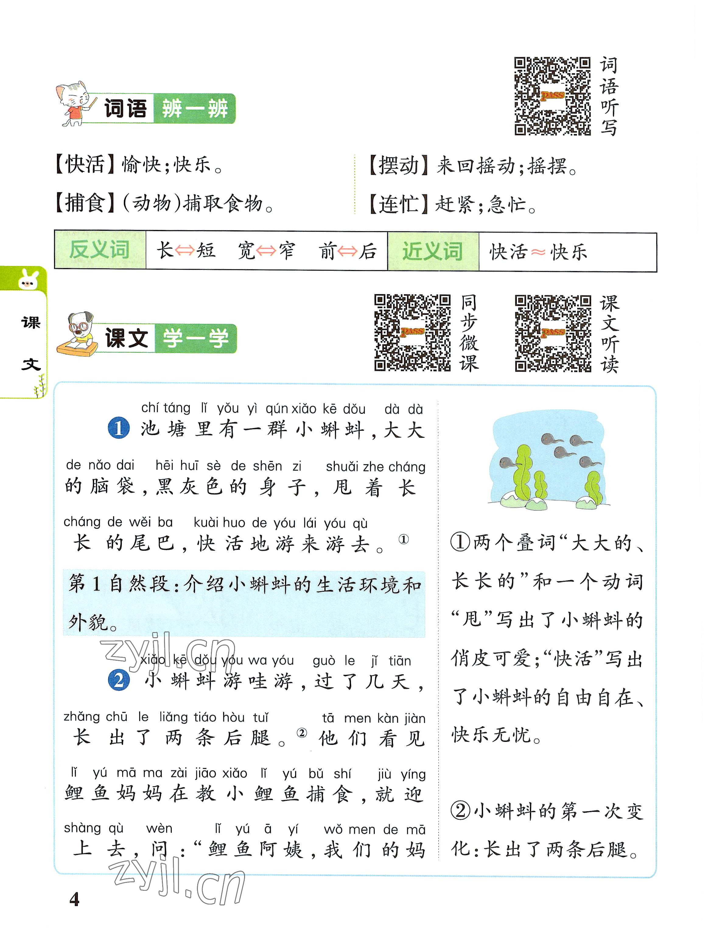 2022年教材課本二年級語文上冊人教版 參考答案第4頁