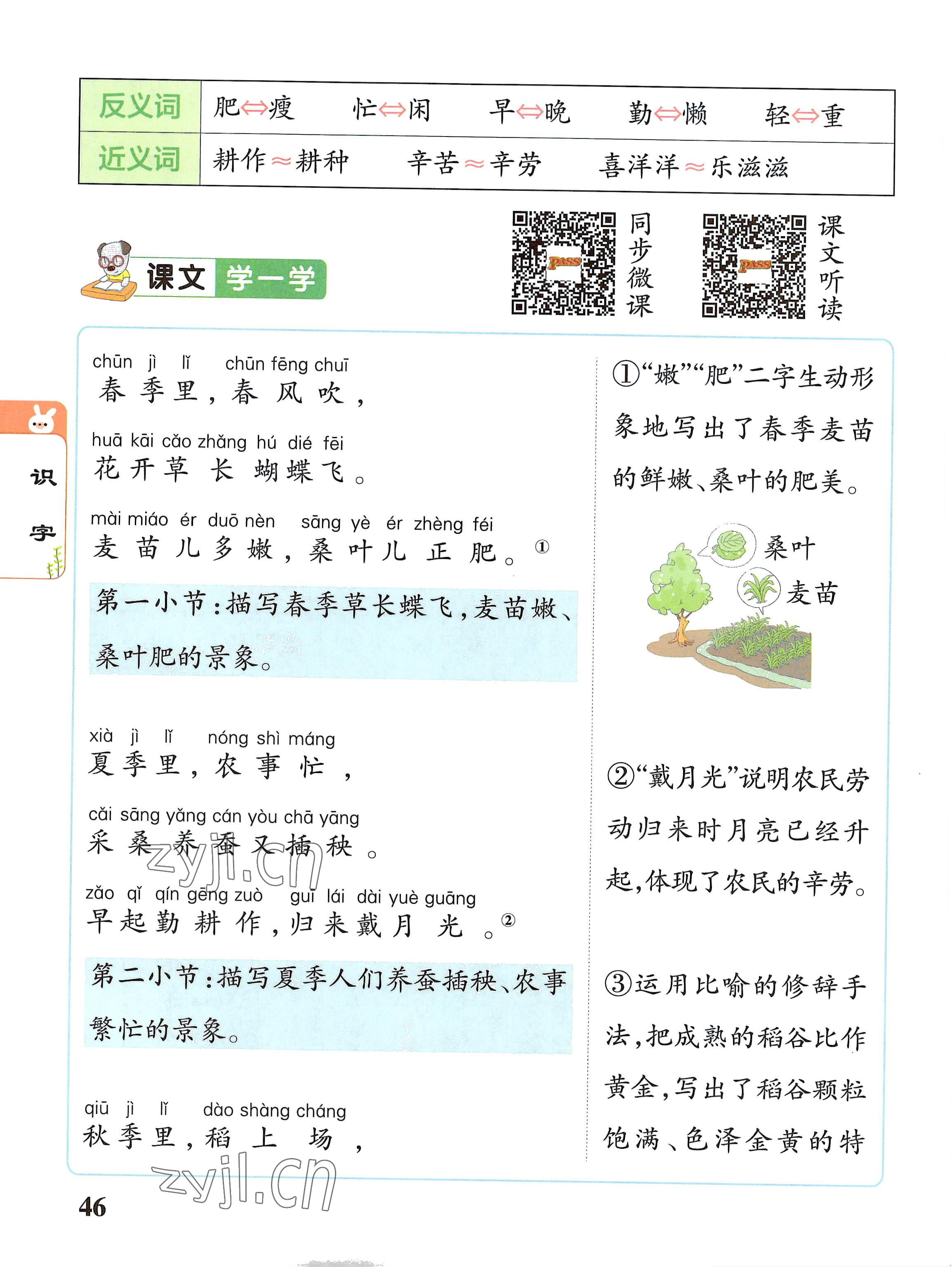 2022年教材课本二年级语文上册人教版 参考答案第46页