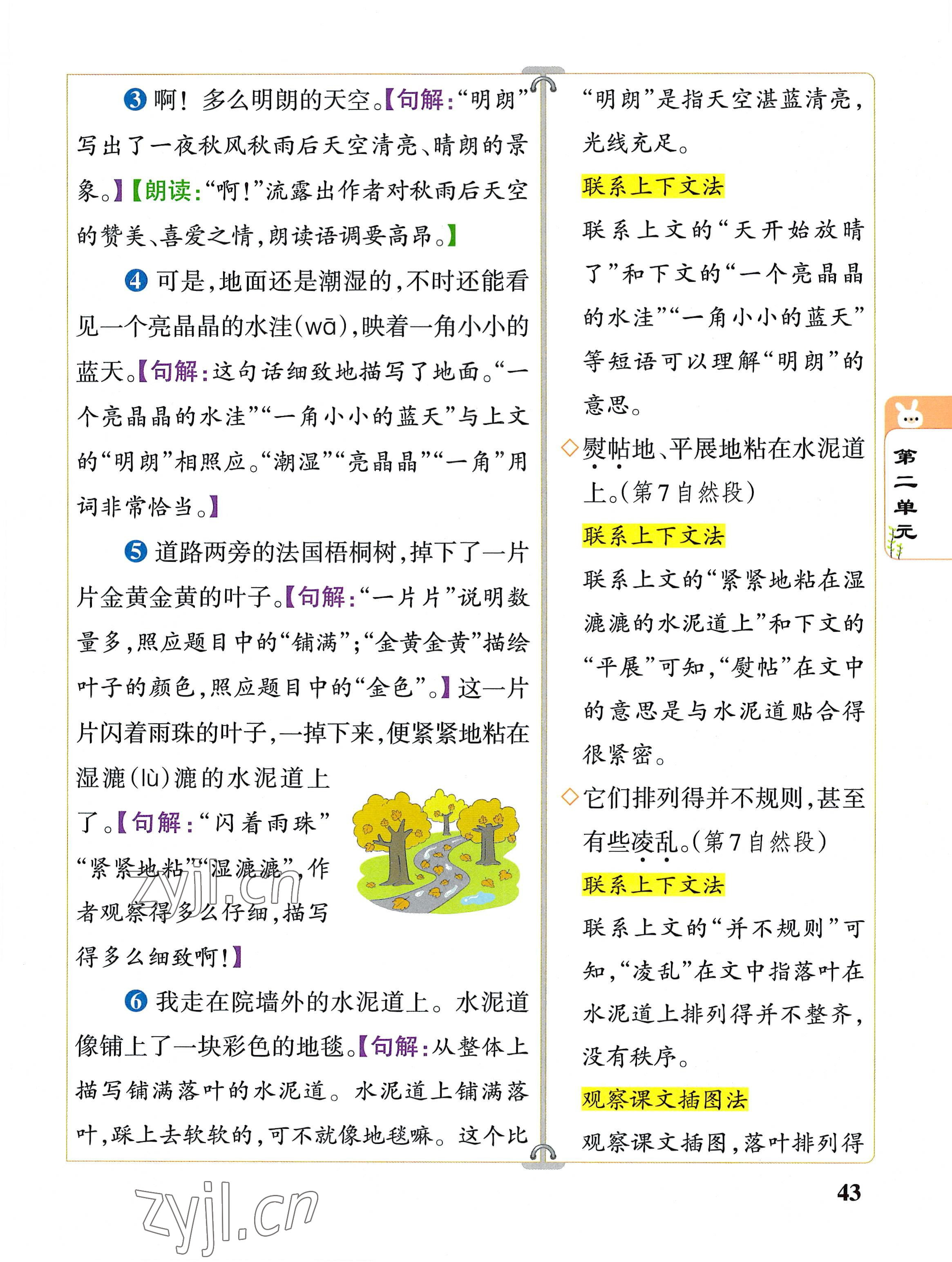 2022年教材課本三年級語文上冊人教版 參考答案第43頁