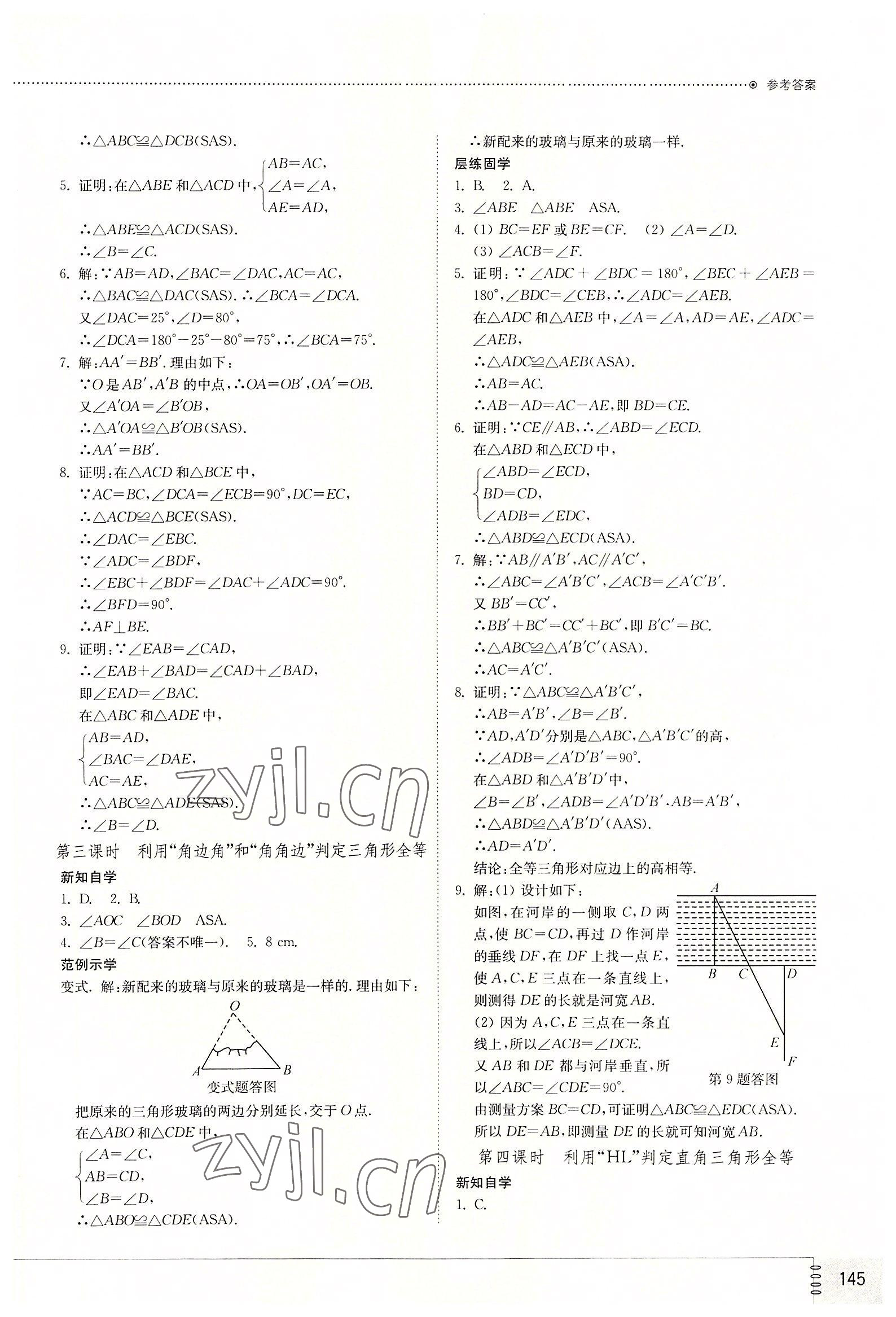 2022年同步練習(xí)冊山東教育出版社八年級數(shù)學(xué)上冊人教版 第5頁