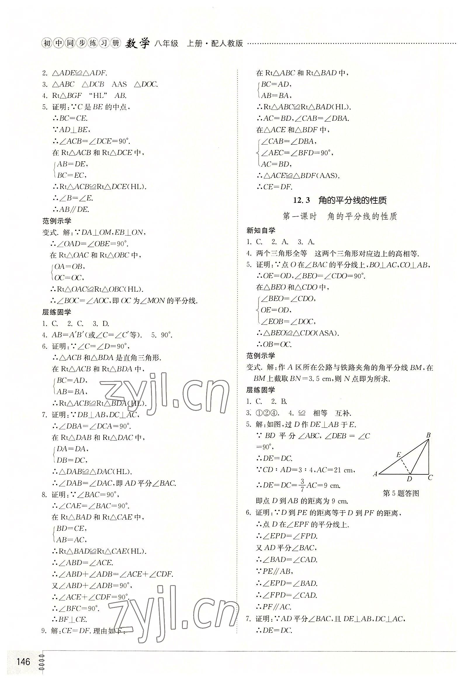 2022年同步練習(xí)冊(cè)山東教育出版社八年級(jí)數(shù)學(xué)上冊(cè)人教版 第6頁