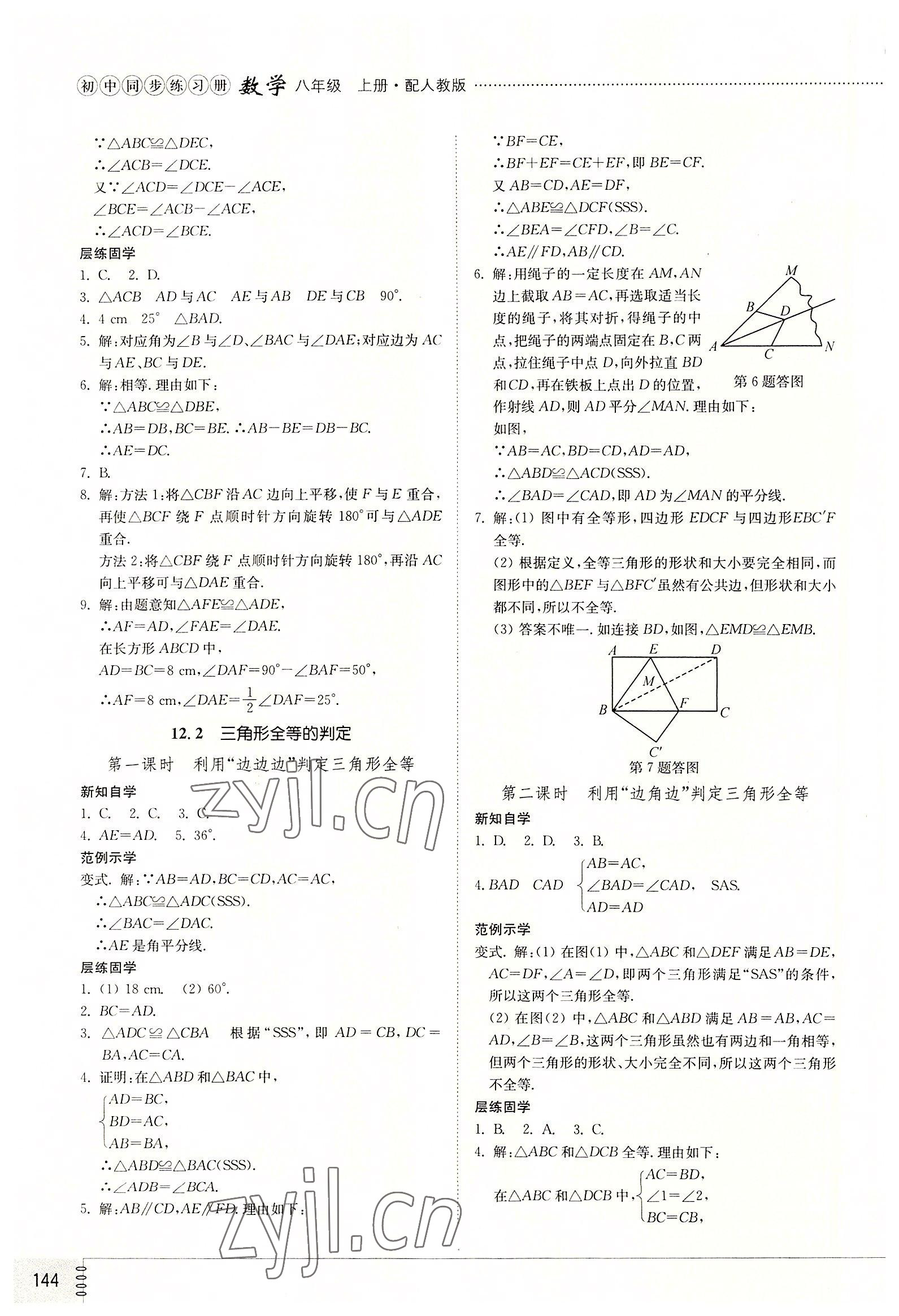 2022年同步練習冊山東教育出版社八年級數(shù)學上冊人教版 第4頁