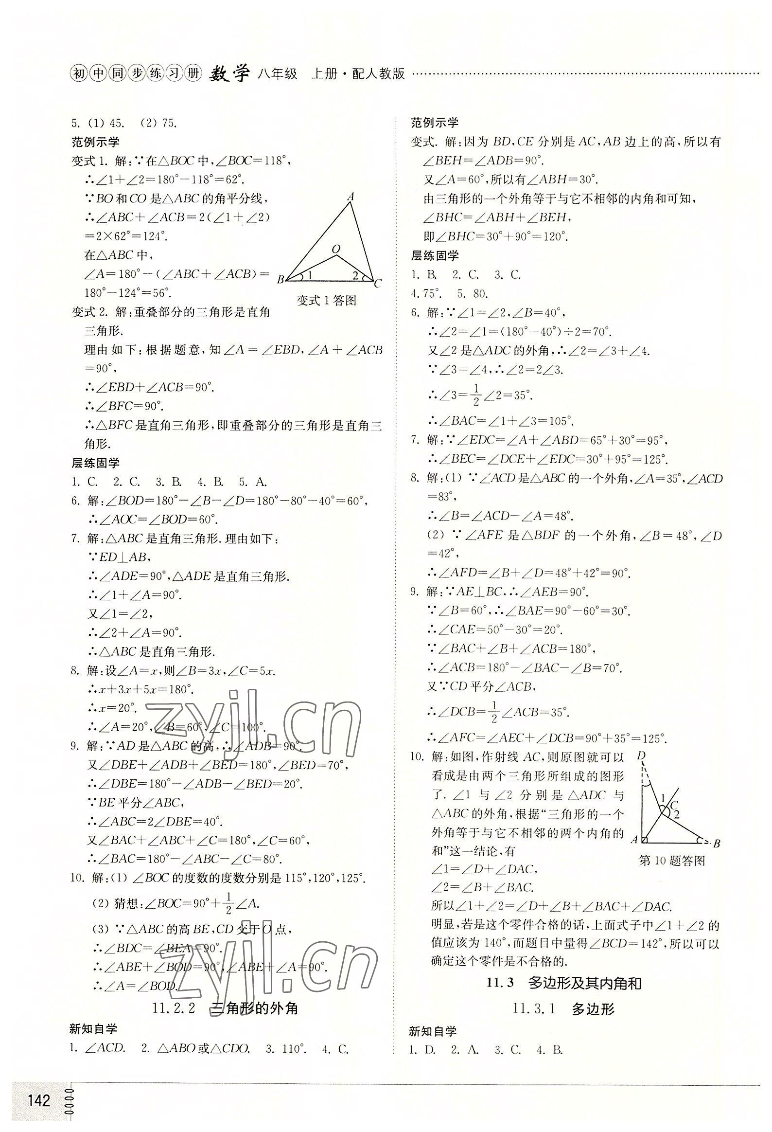 2022年同步練習(xí)冊(cè)山東教育出版社八年級(jí)數(shù)學(xué)上冊(cè)人教版 第2頁