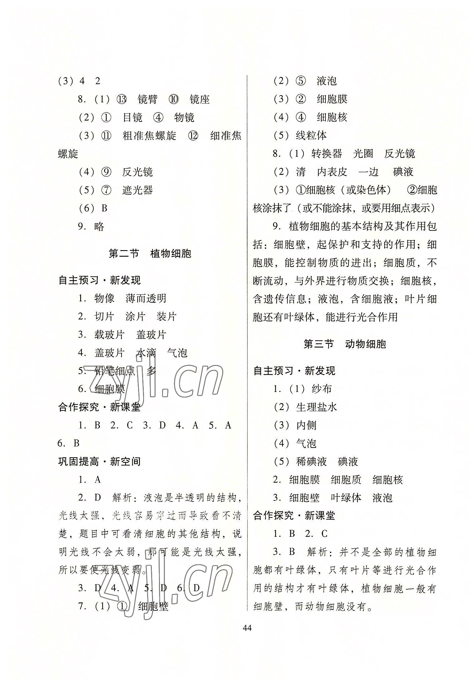 2022年南方新课堂金牌学案七年级生物学上册人教版 第4页