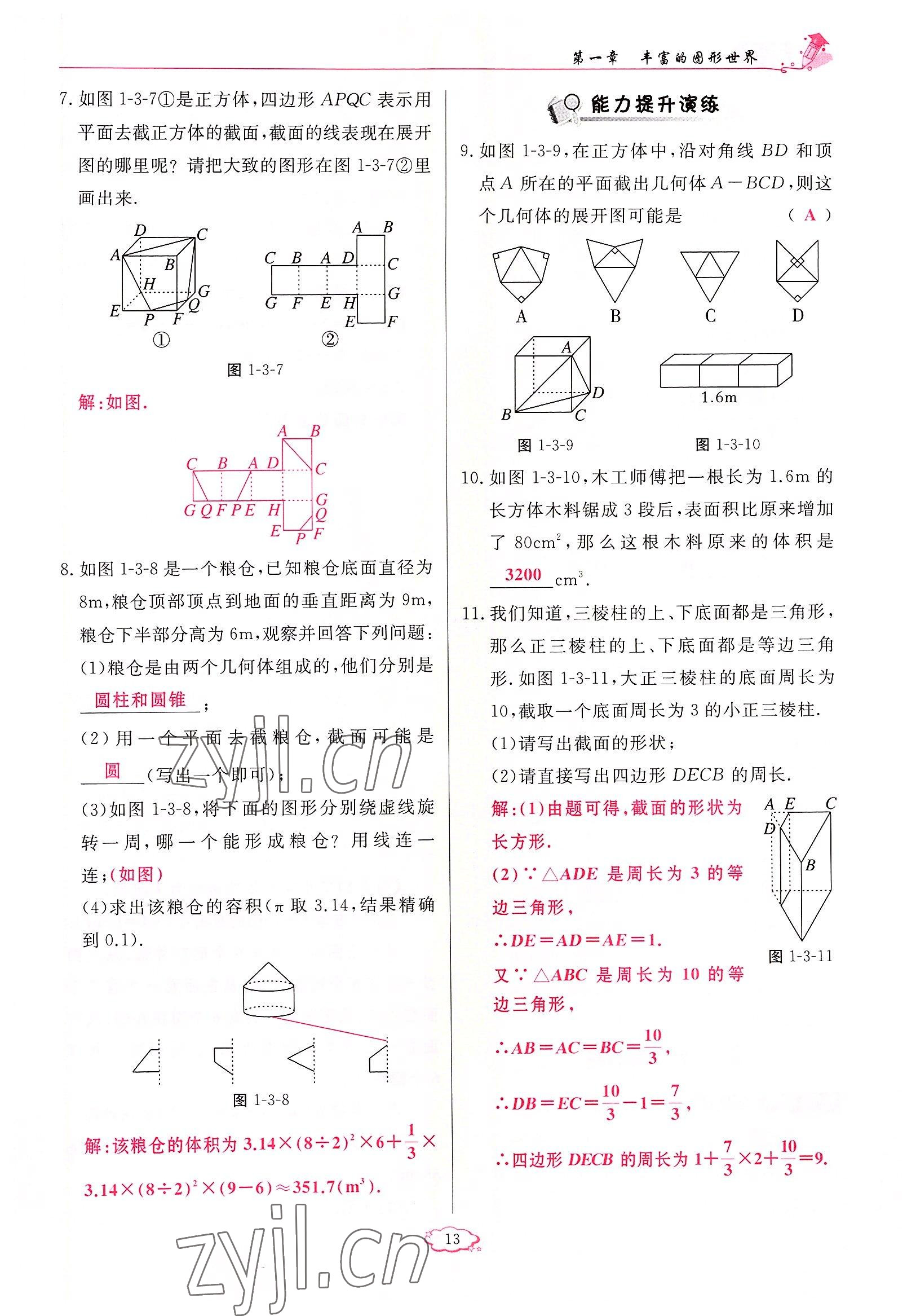 2022年啟航新課堂七年級(jí)數(shù)學(xué)上冊(cè)北師大版 參考答案第13頁(yè)