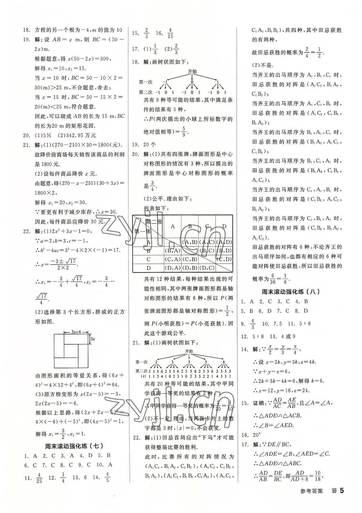 2022年全品小复习九年级数学全一册北师大版 第5页