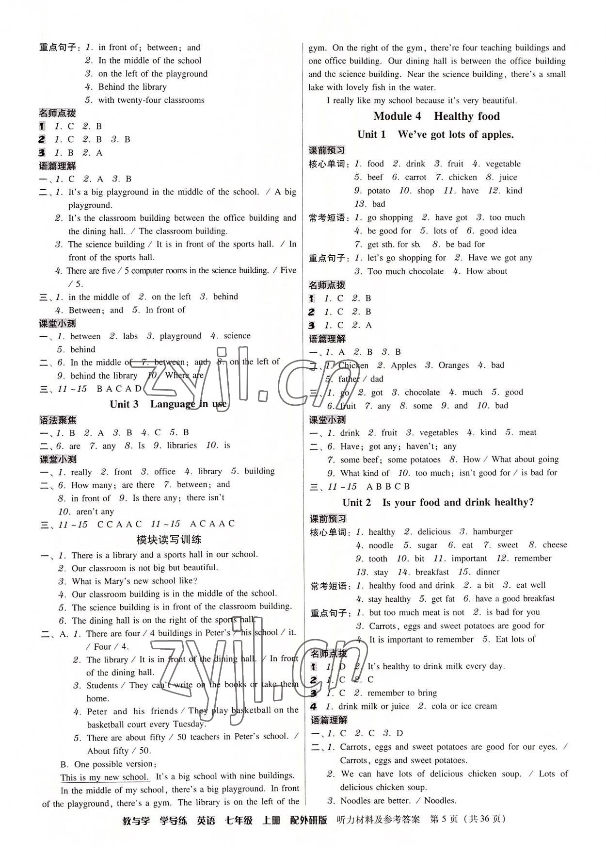 2022年教與學(xué)學(xué)導(dǎo)練七年級(jí)英語上冊(cè)外研版 第5頁