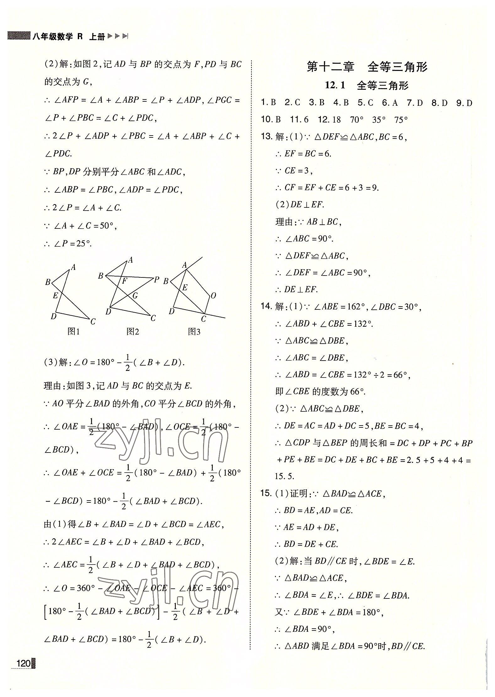 2022年辽宁作业分层培优学案八年级数学上册人教版 第6页