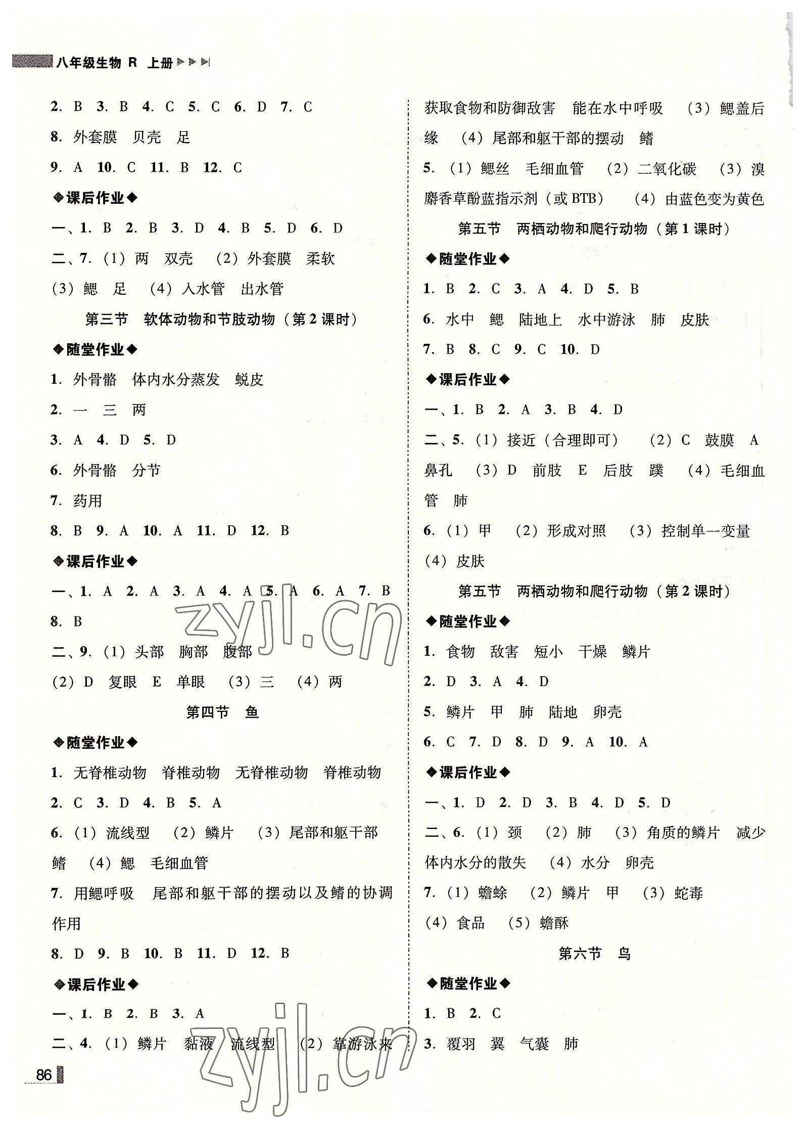 2022年遼寧作業(yè)分層培優(yōu)學(xué)案八年級生物上冊人教版 第2頁