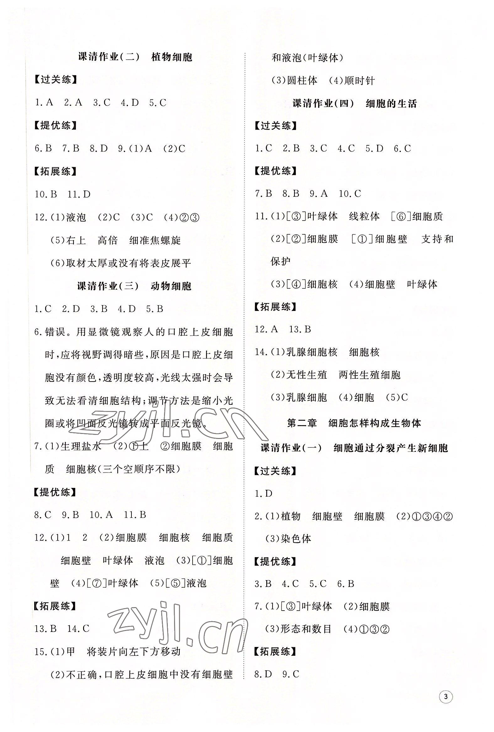 2022年同步練習(xí)冊(cè)智慧作業(yè)七年級(jí)生物上冊(cè)人教版 參考答案第3頁(yè)