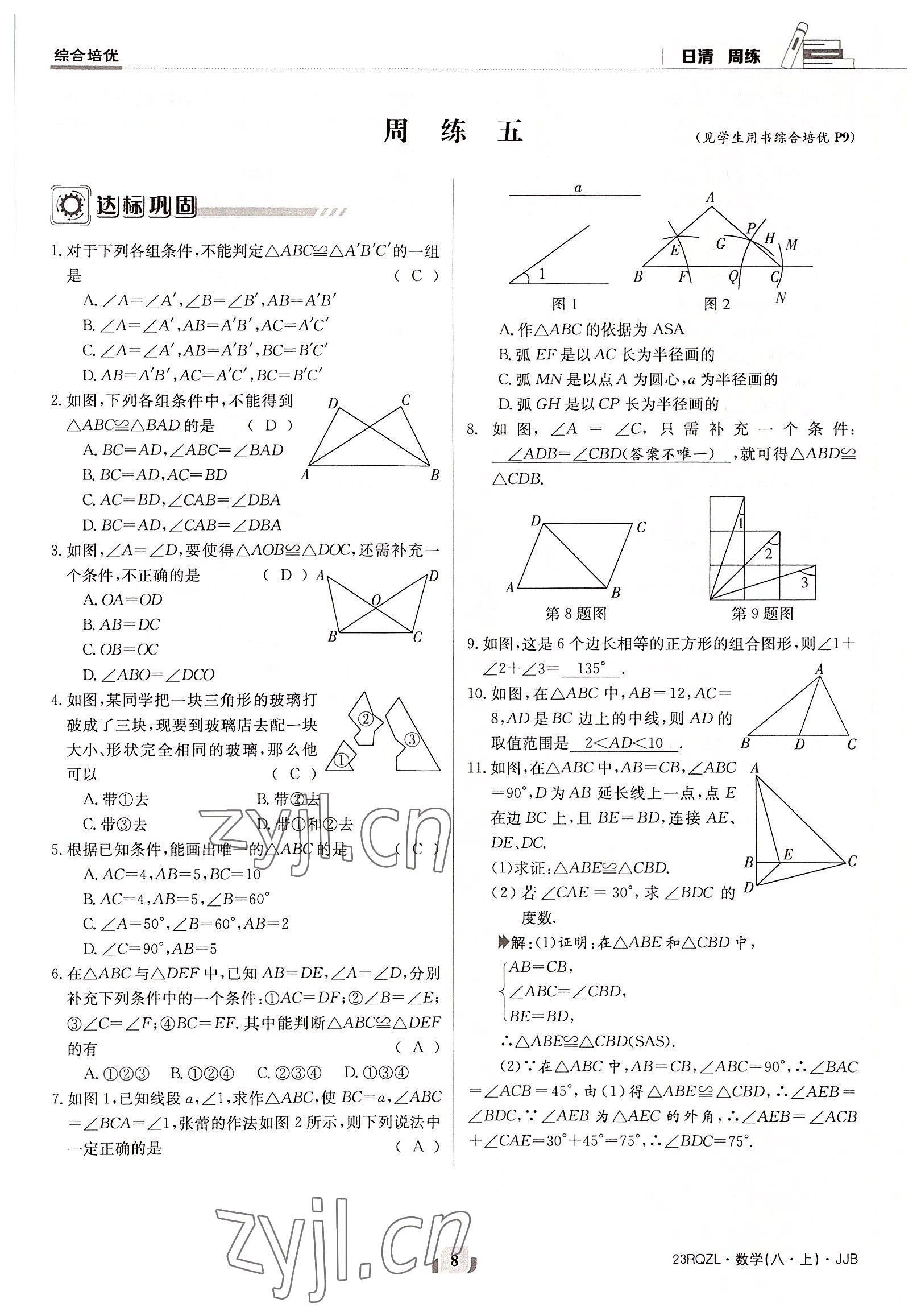 2022年日清周練八年級數(shù)學(xué)上冊冀教版 參考答案第8頁