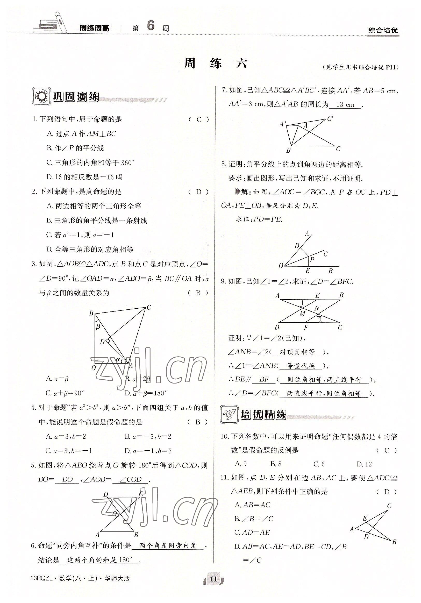 2022年日清周練八年級(jí)數(shù)學(xué)上冊(cè)華師大版 參考答案第11頁