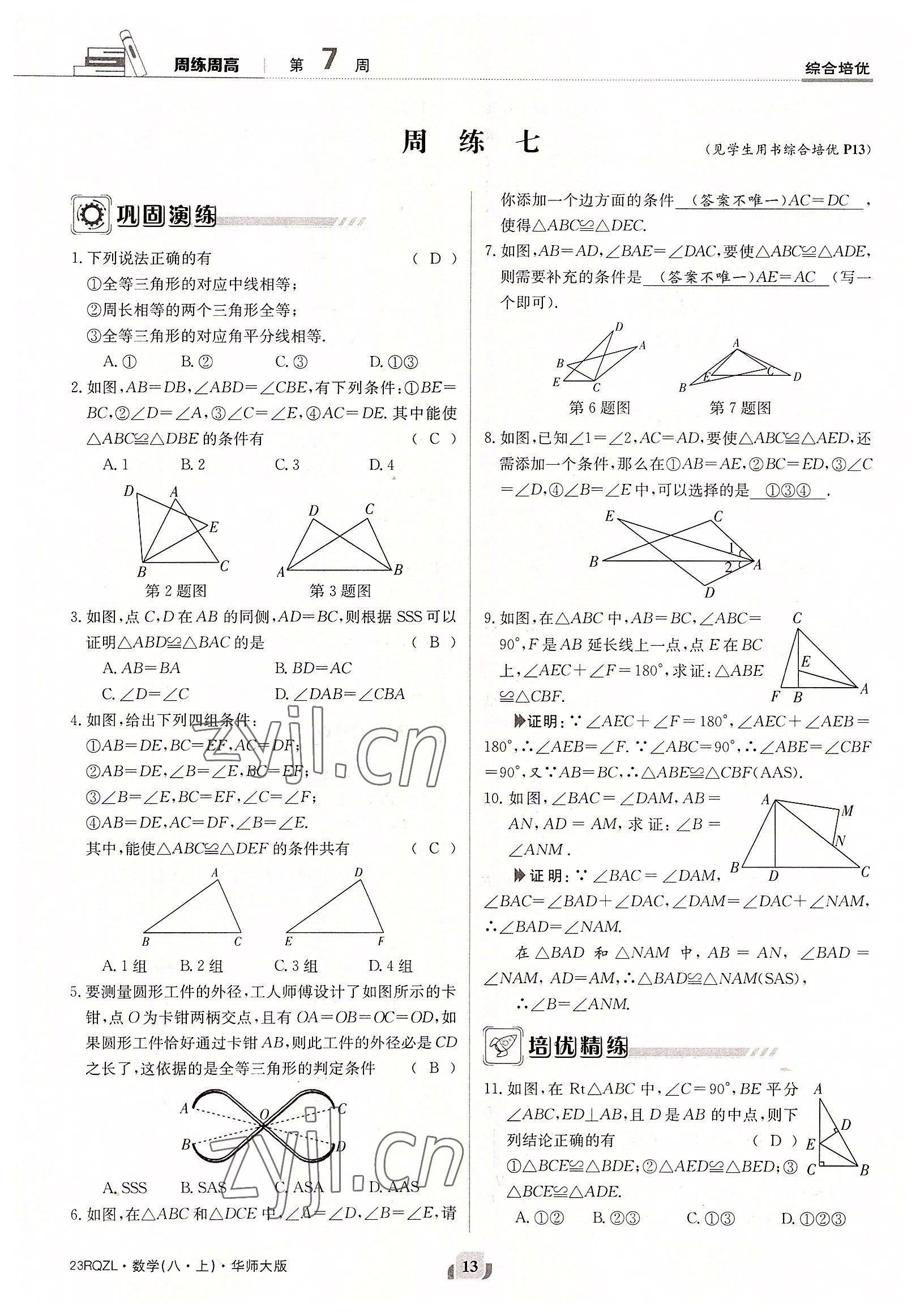 2022年日清周練八年級數(shù)學上冊華師大版 參考答案第13頁