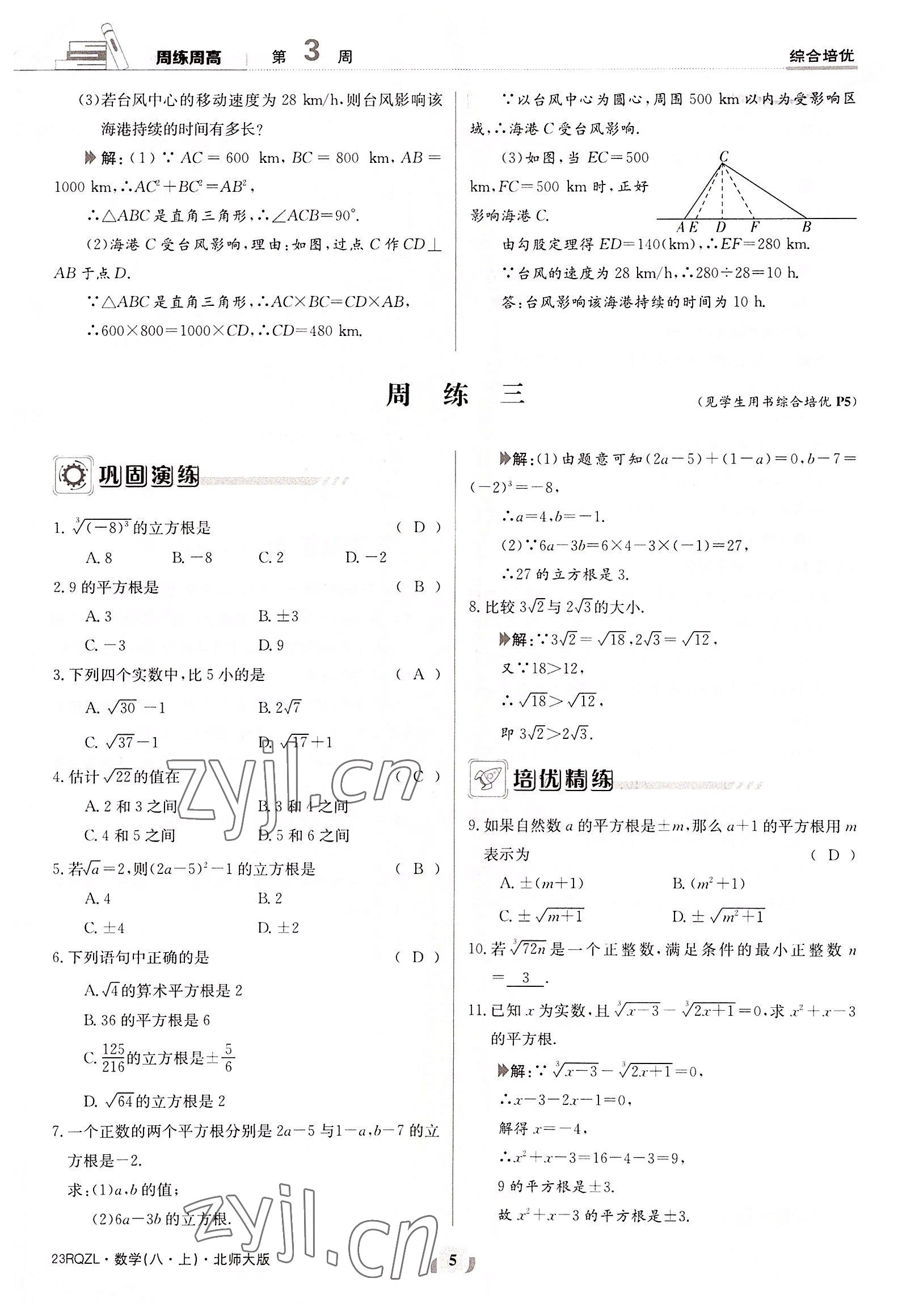 2022年日清周練八年級數(shù)學上冊北師大版 參考答案第5頁