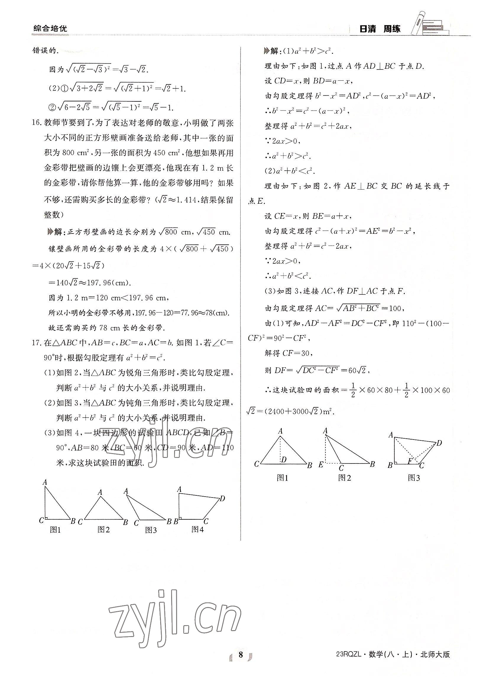 2022年日清周練八年級(jí)數(shù)學(xué)上冊(cè)北師大版 參考答案第8頁(yè)