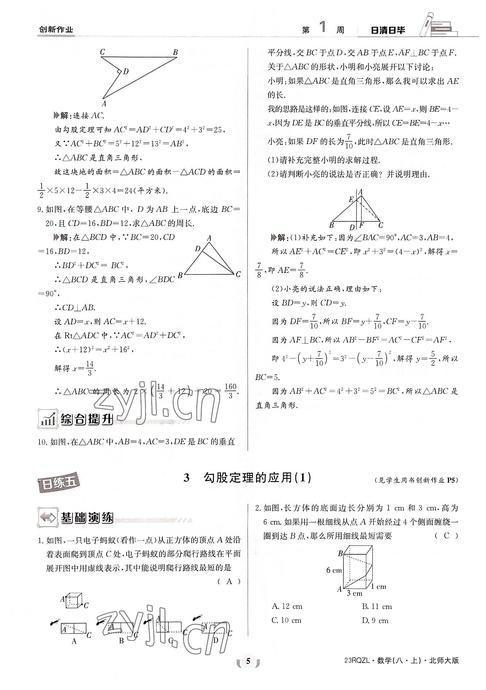 2022年日清周練八年級數學上冊北師大版 參考答案第5頁