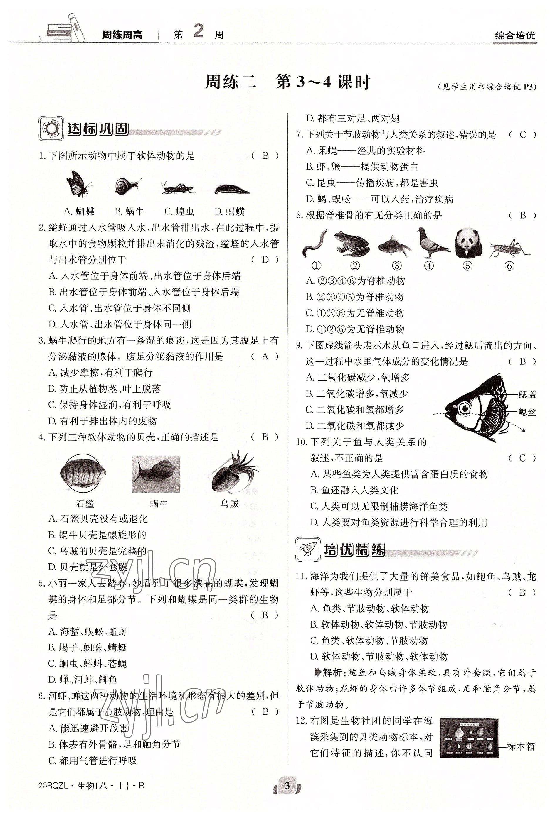 2022年日清周練八年級生物上冊人教版 參考答案第3頁