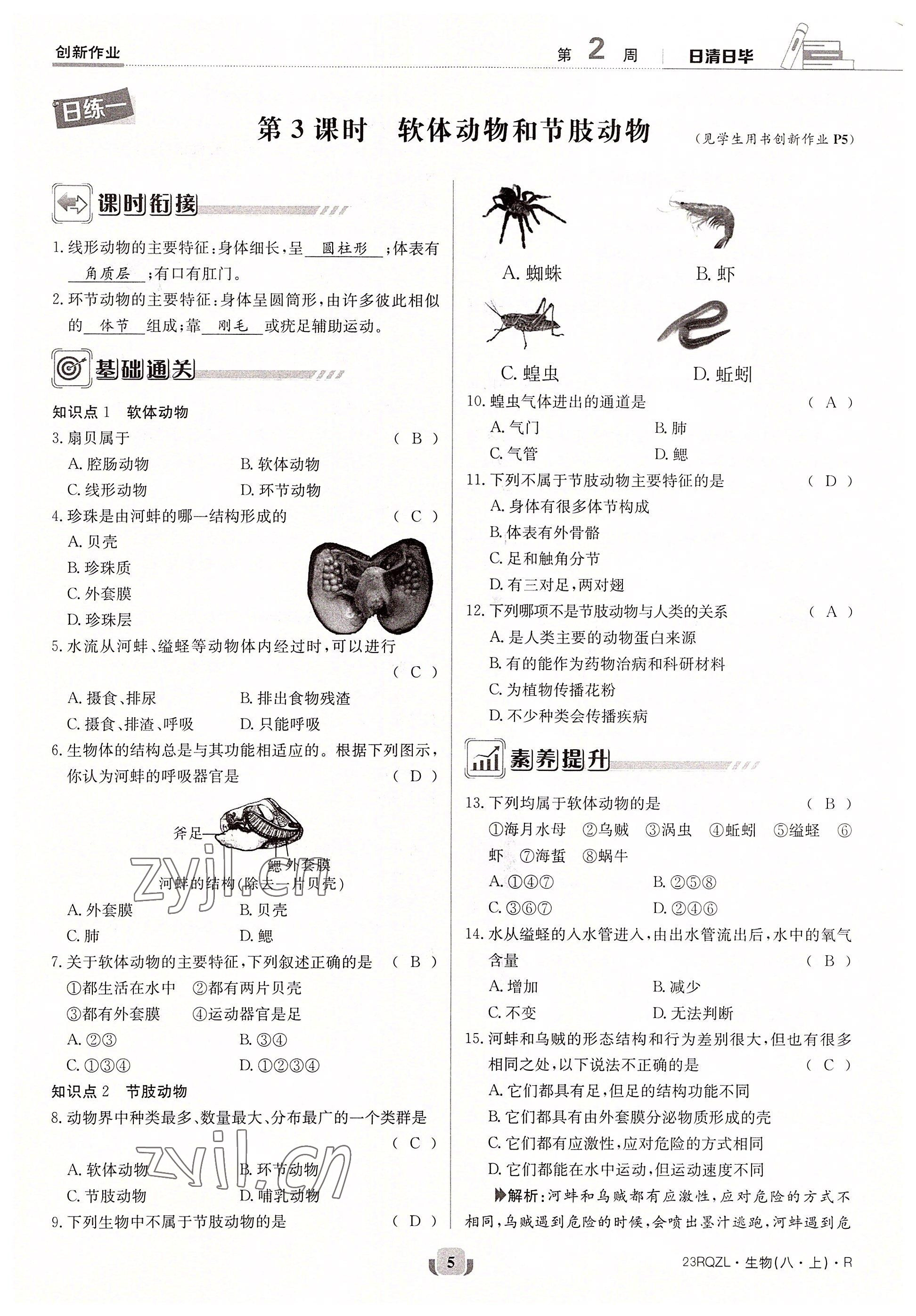 2022年日清周練八年級(jí)生物上冊(cè)人教版 參考答案第5頁(yè)