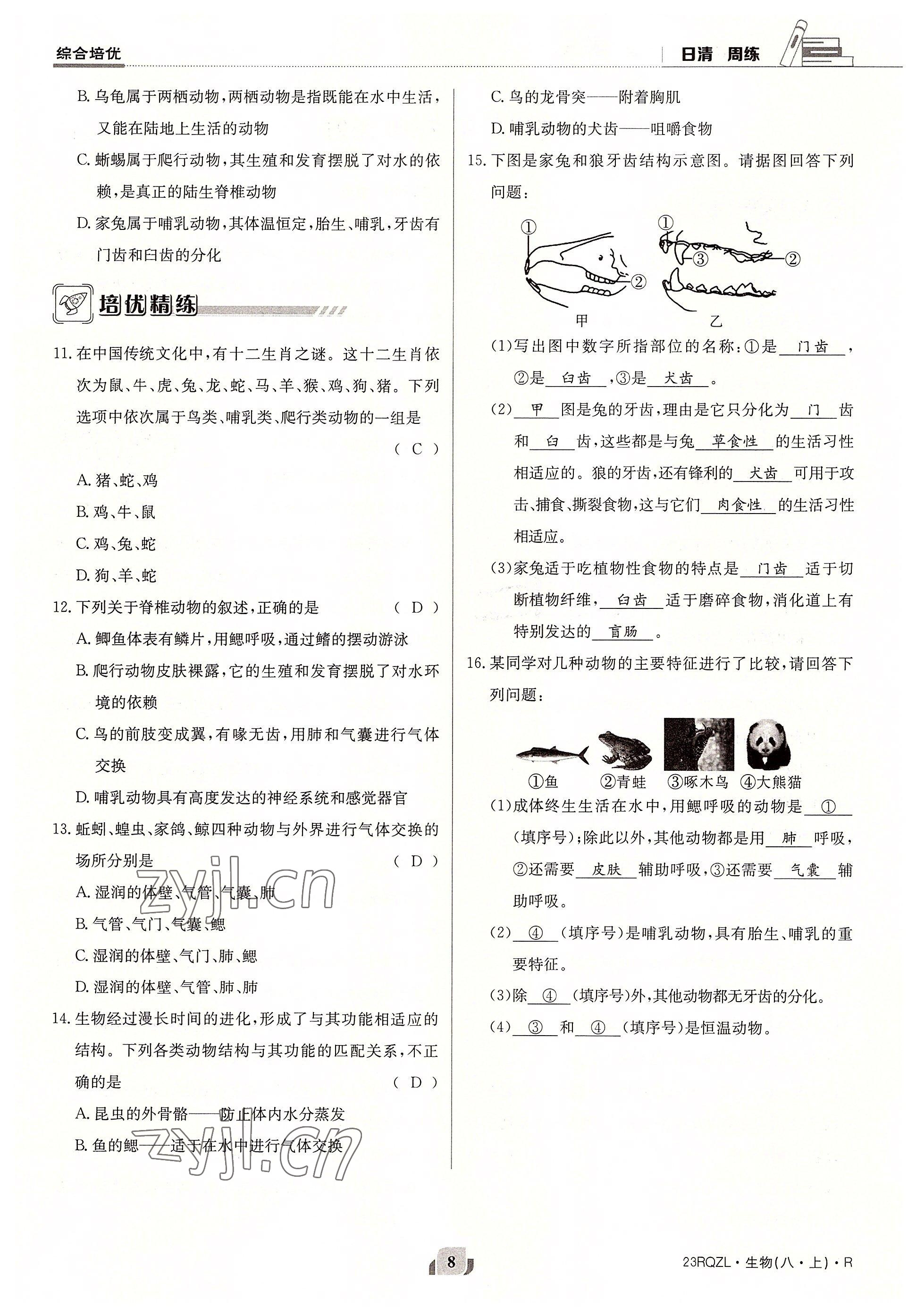 2022年日清周練八年級(jí)生物上冊(cè)人教版 參考答案第8頁(yè)