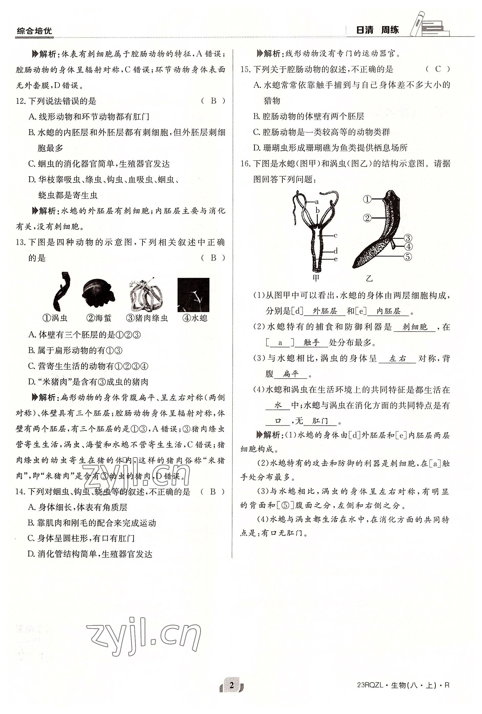 2022年日清周練八年級(jí)生物上冊(cè)人教版 參考答案第2頁(yè)