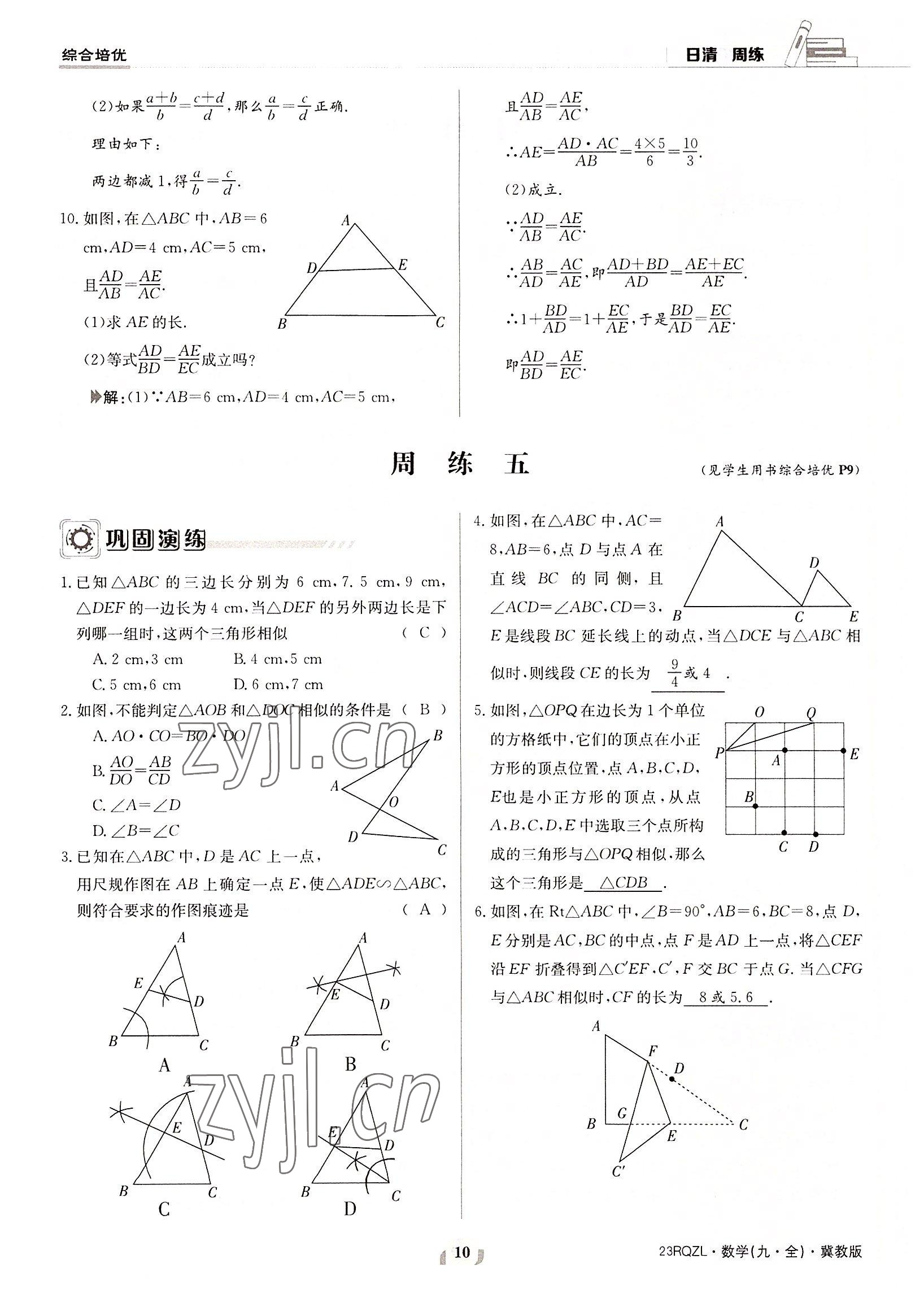 2022年日清周練九年級數(shù)學(xué)全一冊冀教版 參考答案第10頁