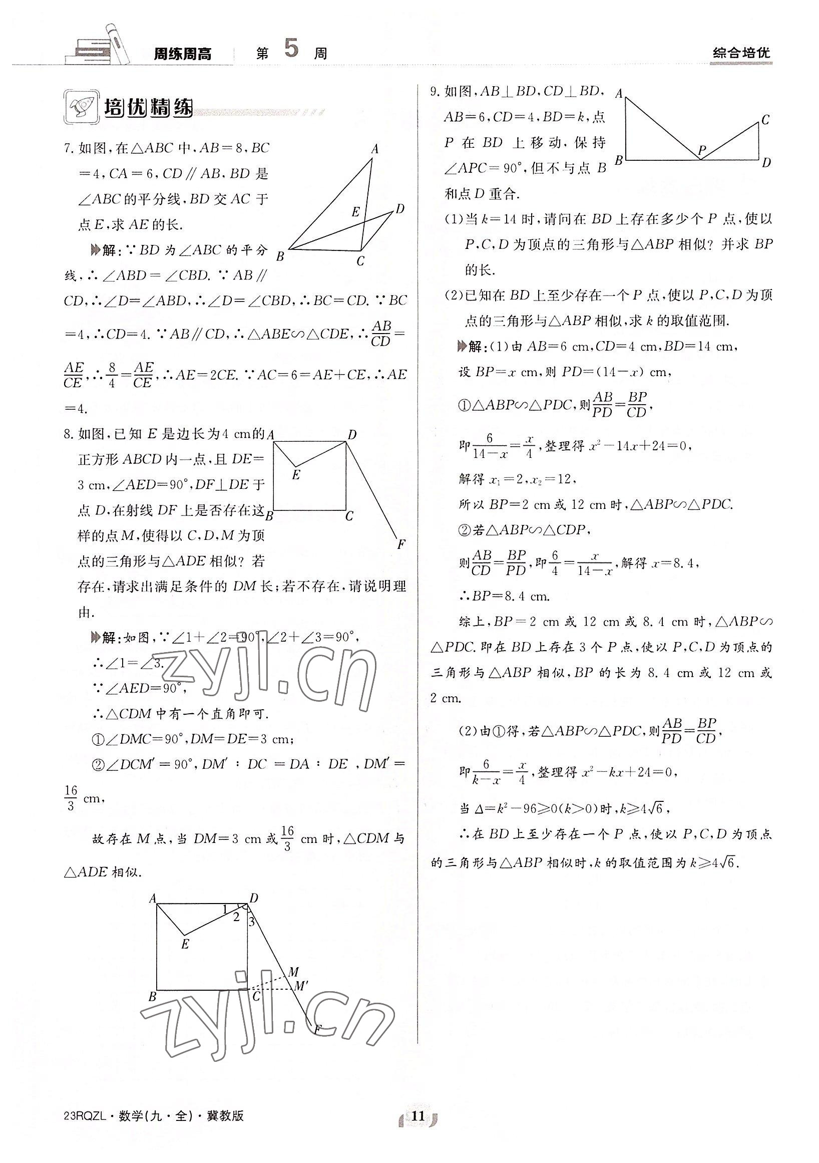 2022年日清周練九年級數(shù)學(xué)全一冊冀教版 參考答案第11頁