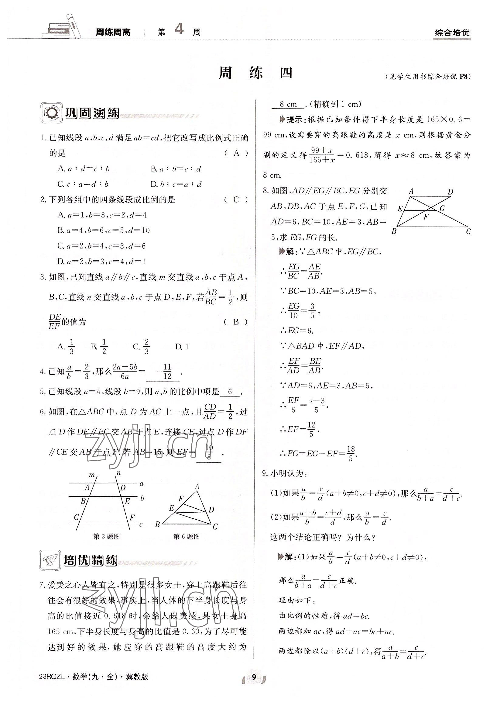 2022年日清周練九年級(jí)數(shù)學(xué)全一冊(cè)冀教版 參考答案第9頁(yè)