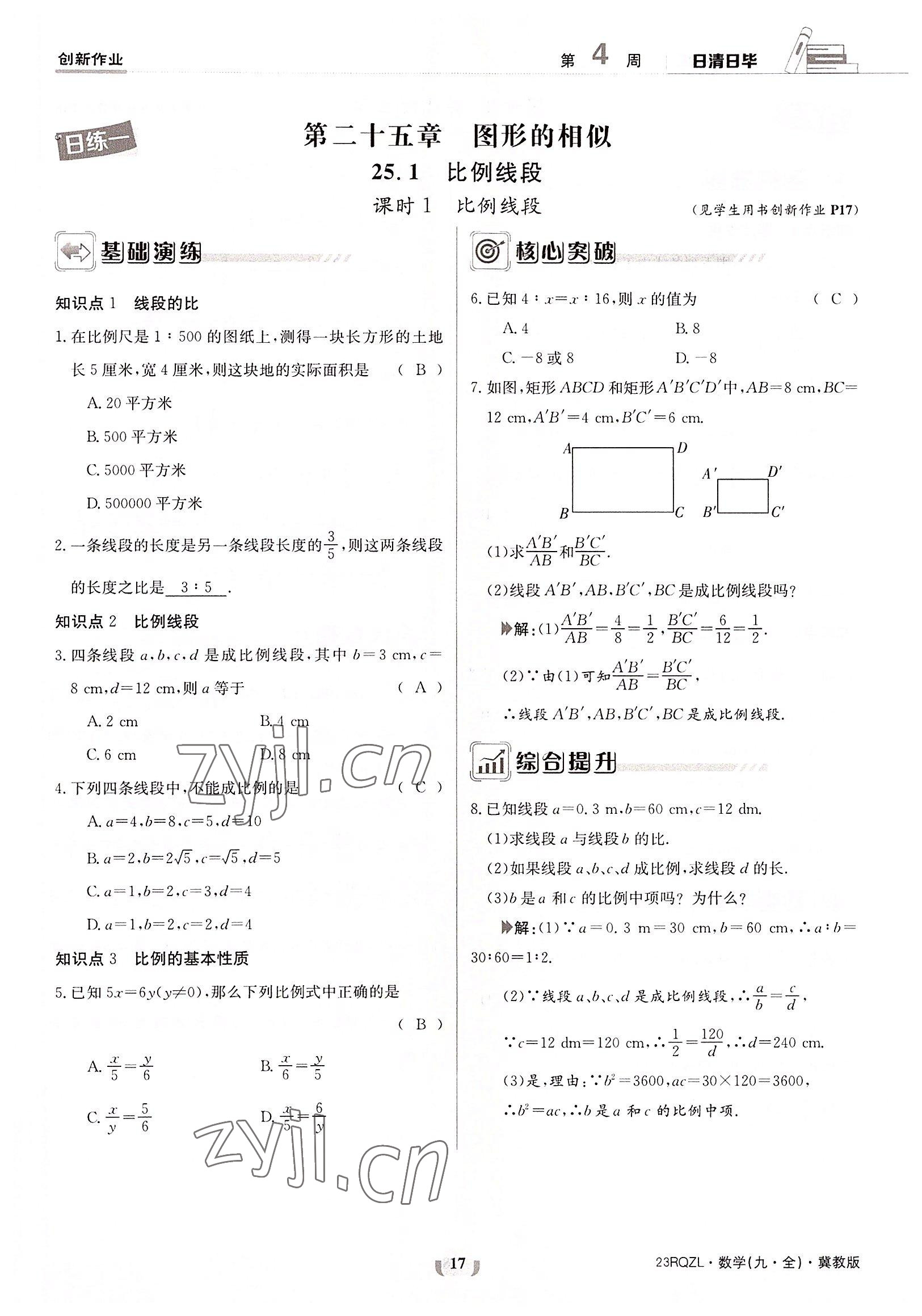 2022年日清周練九年級數(shù)學(xué)全一冊冀教版 參考答案第17頁