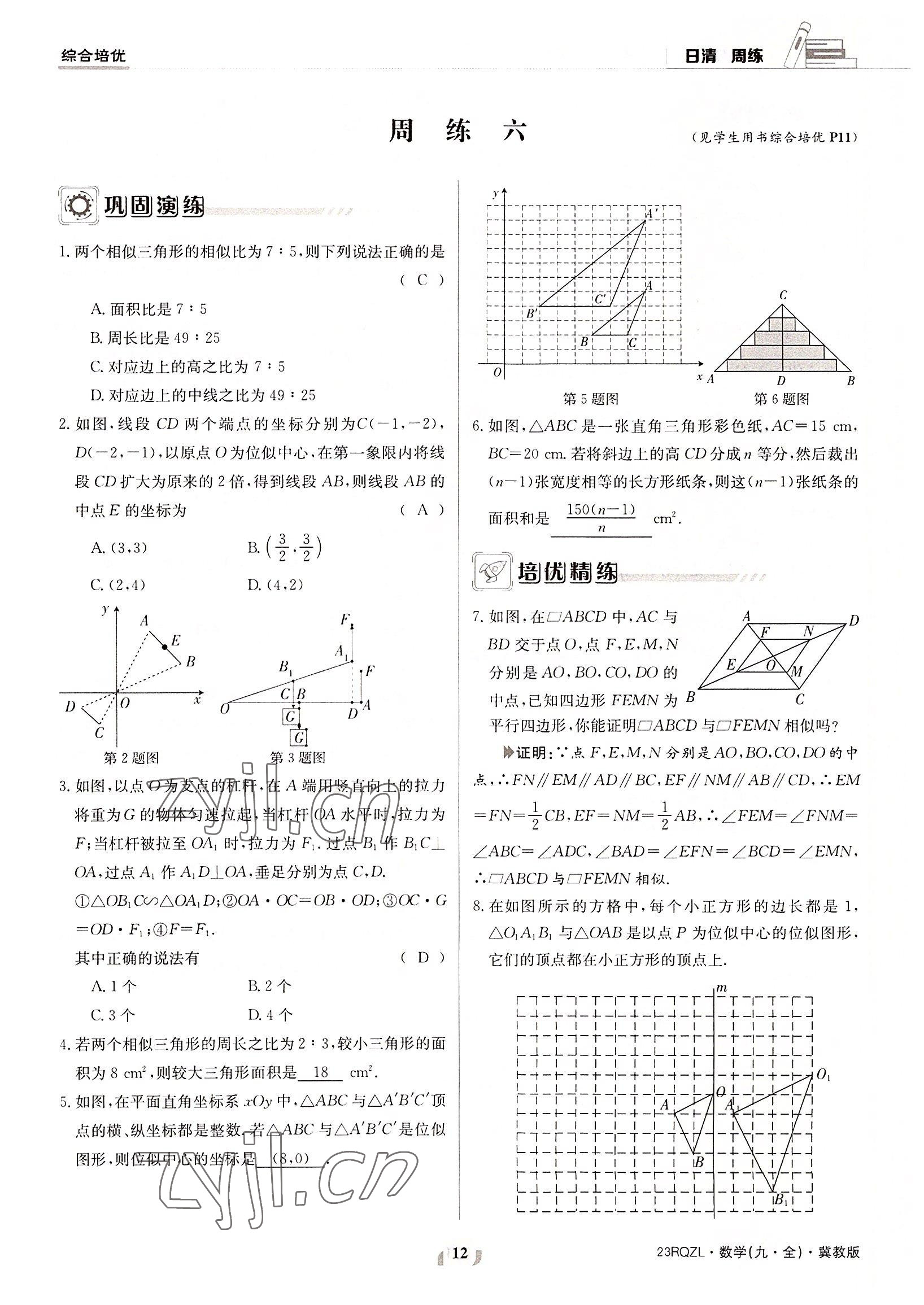 2022年日清周練九年級數(shù)學(xué)全一冊冀教版 參考答案第12頁