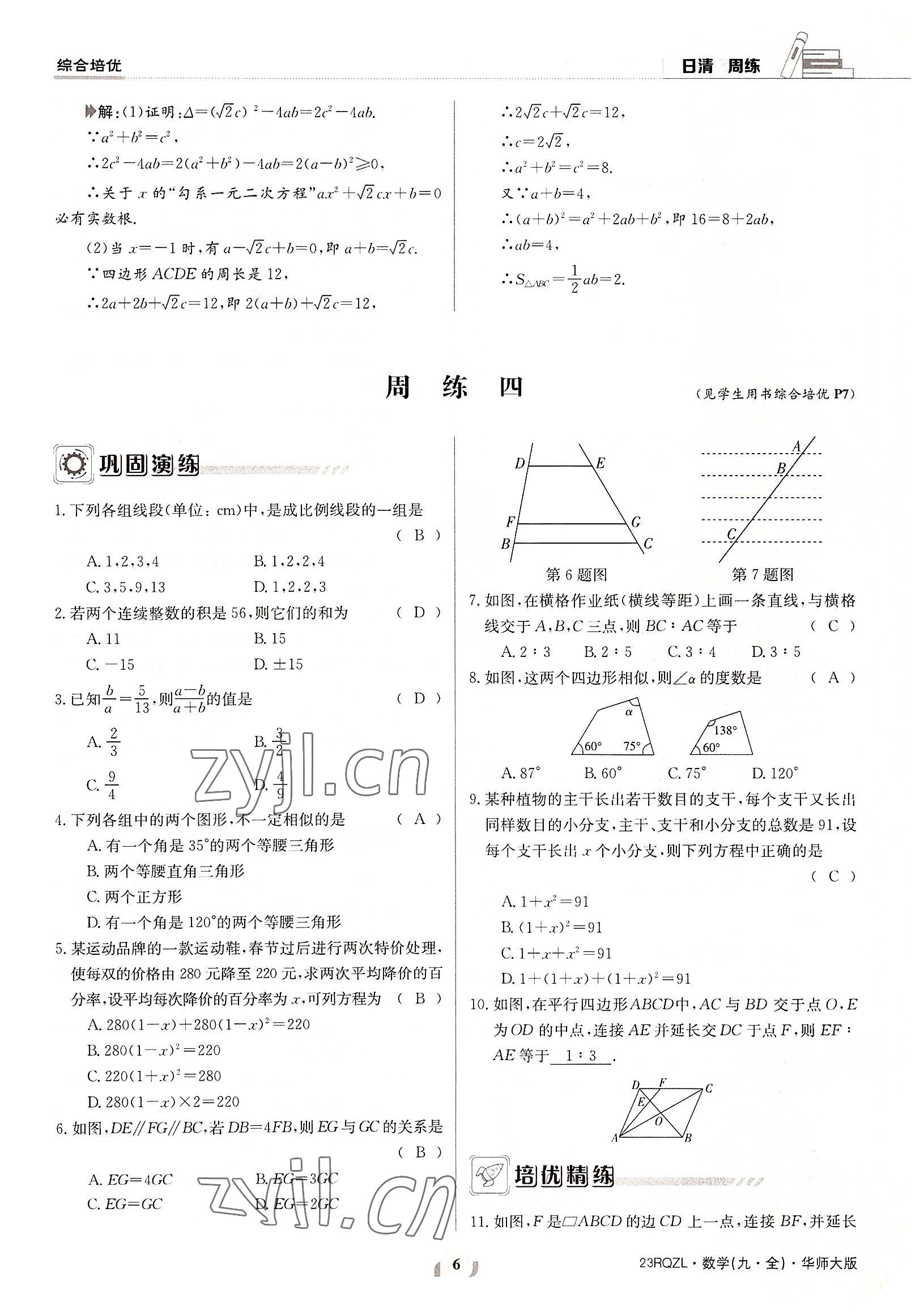 2022年日清周練九年級(jí)數(shù)學(xué)全一冊(cè)華師大版 參考答案第6頁