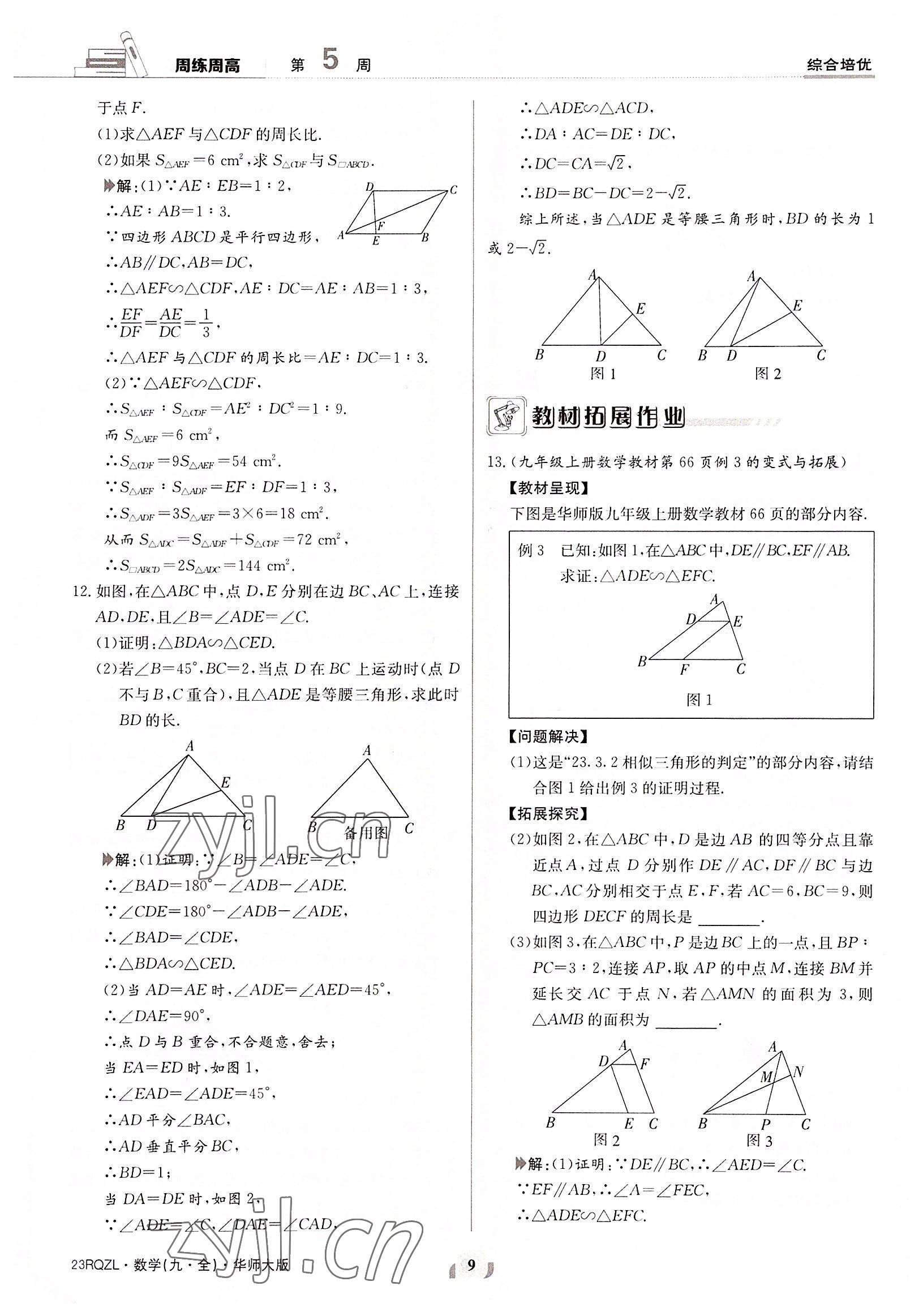 2022年日清周練九年級數(shù)學全一冊華師大版 參考答案第9頁