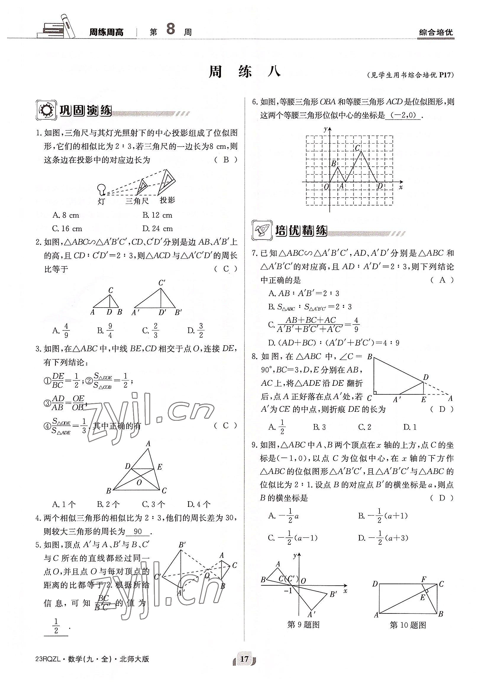 2022年日清周練九年級數(shù)學(xué)全一冊北師大版 參考答案第17頁