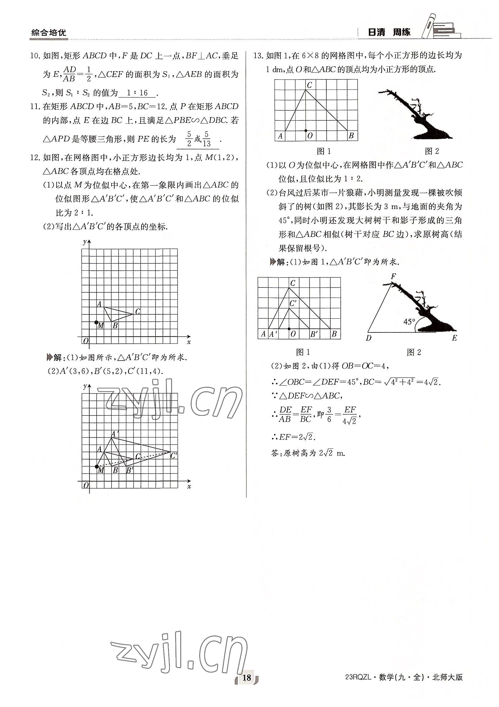 2022年日清周練九年級數(shù)學(xué)全一冊北師大版 參考答案第18頁