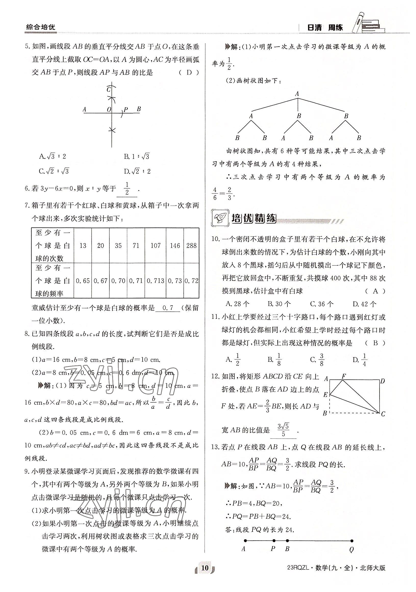 2022年日清周練九年級數(shù)學全一冊北師大版 參考答案第10頁