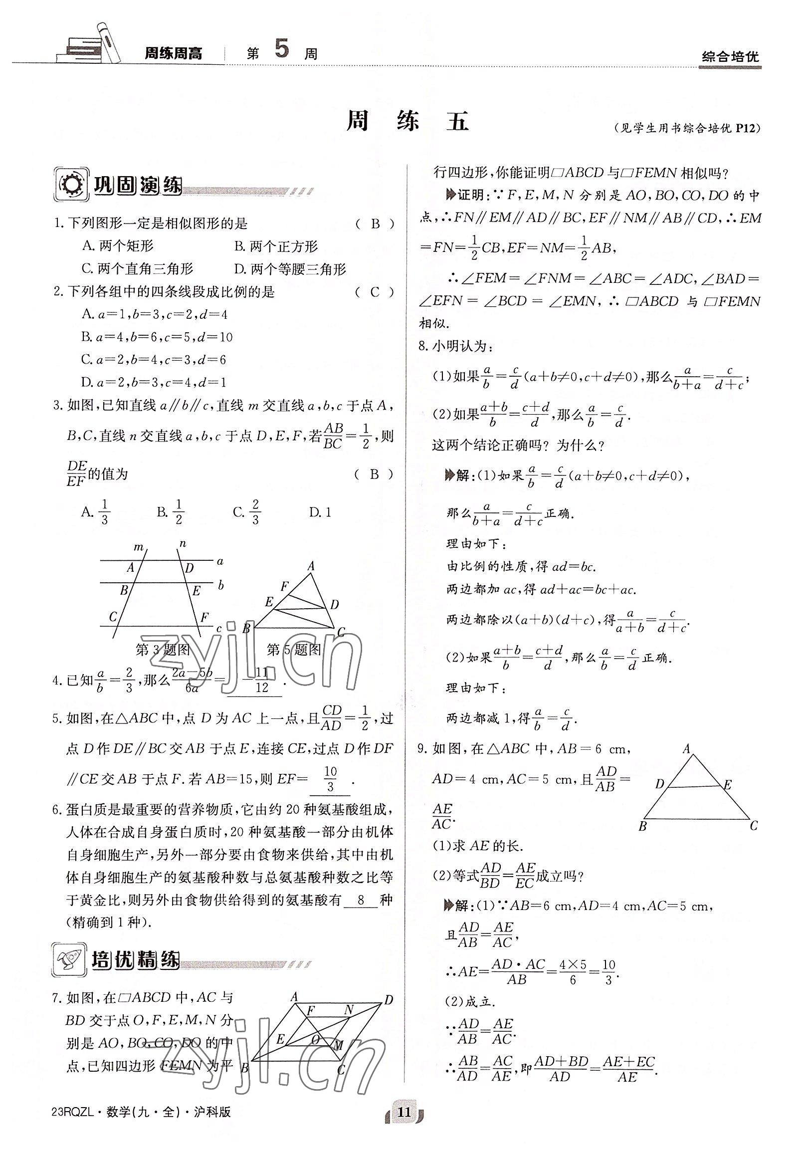 2022年日清周練九年級數(shù)學全一冊滬科版 參考答案第11頁