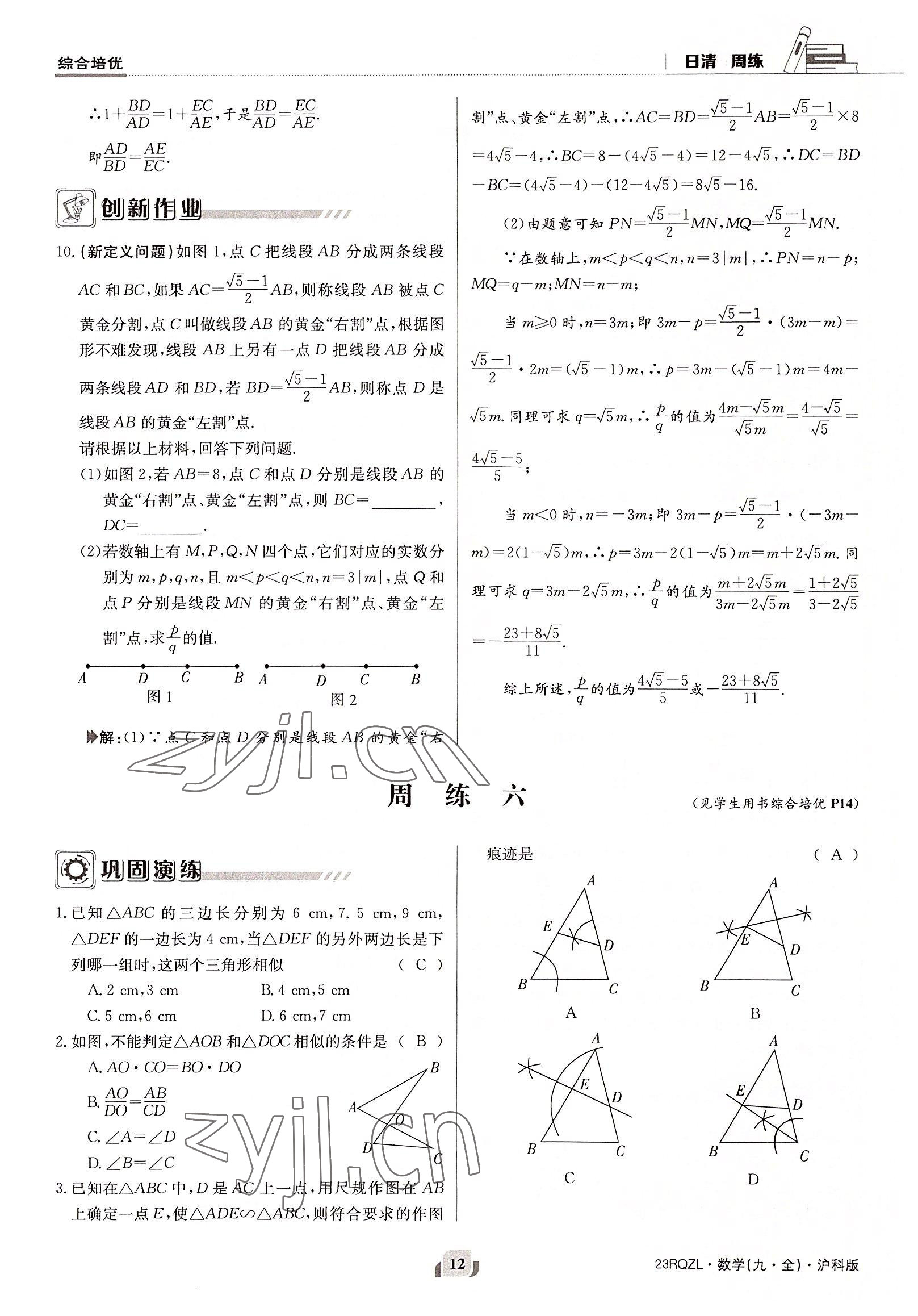 2022年日清周練九年級數(shù)學(xué)全一冊滬科版 參考答案第12頁